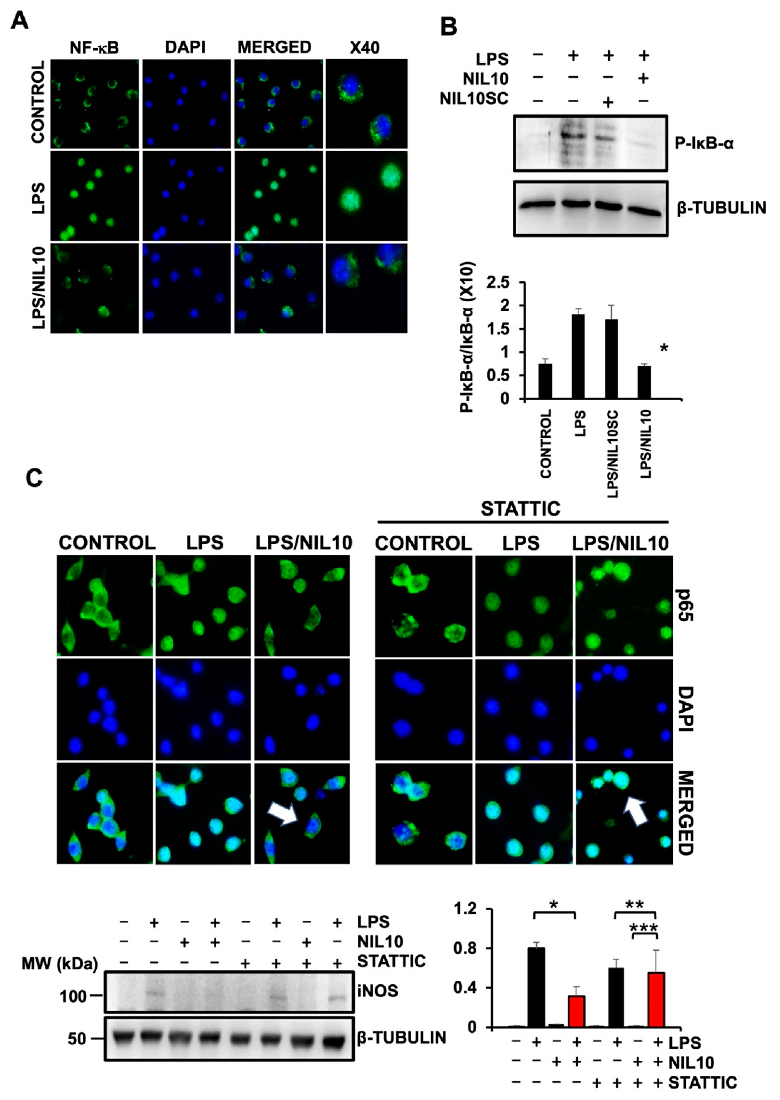 Pharmaceutics 14 02044 g009