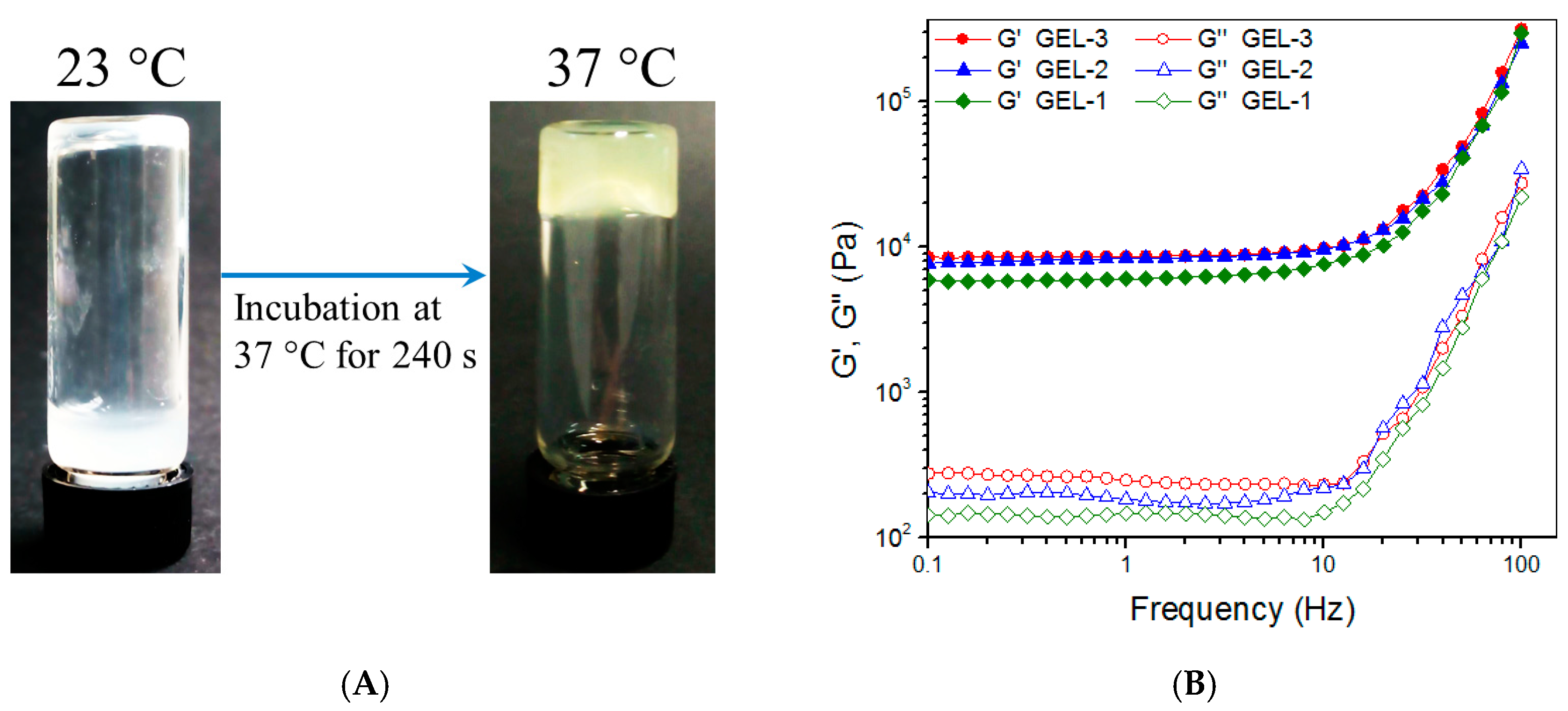 Pharmaceutics 14 02048 g004a