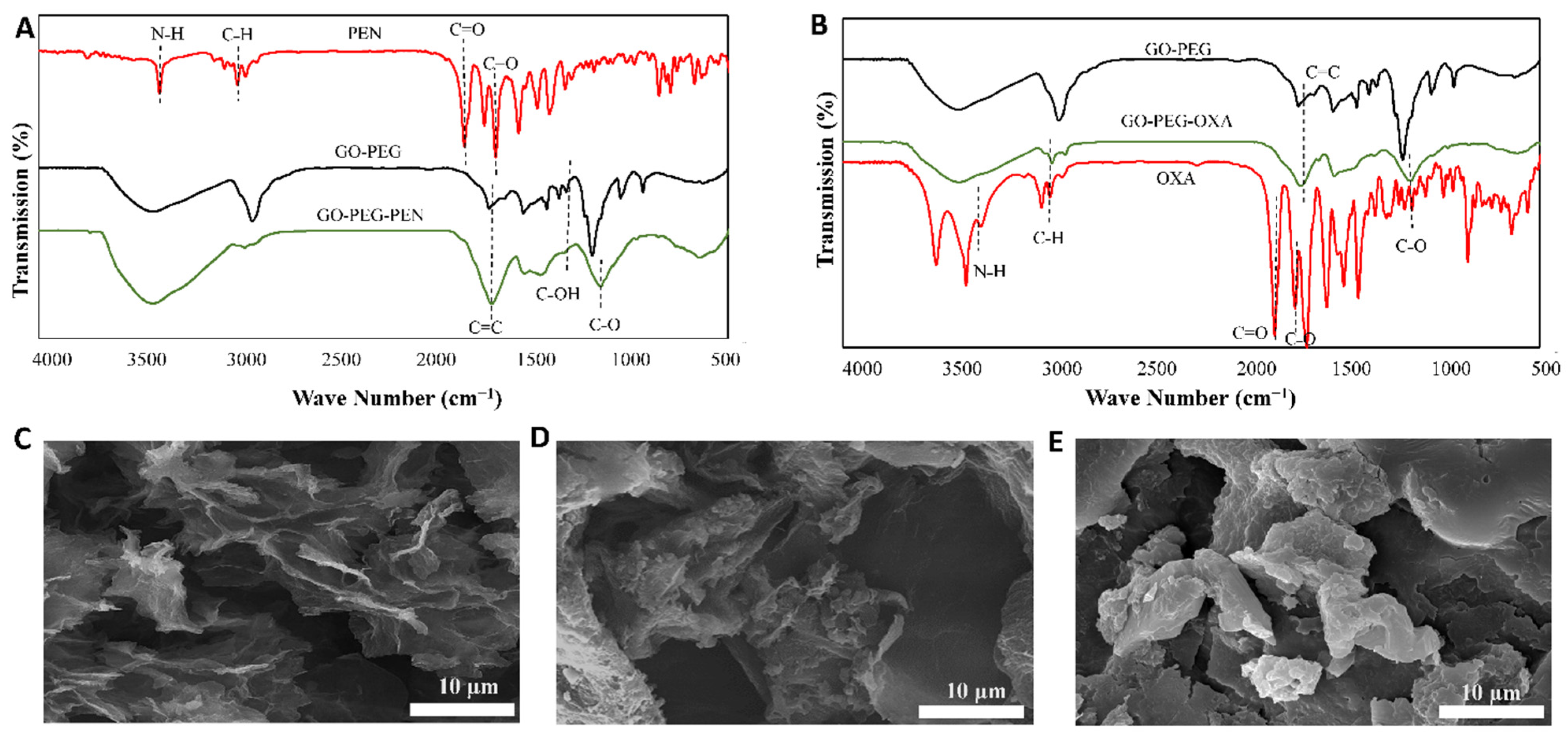 Pharmaceutics 14 02049 g003