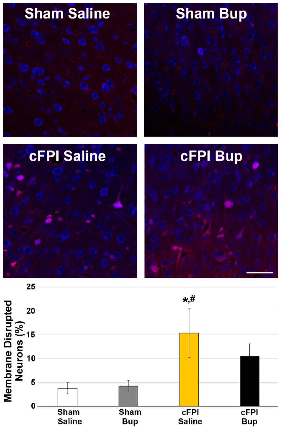 Pharmaceutics 14 02068 g003 Pharmaceutics 14 02068 g003