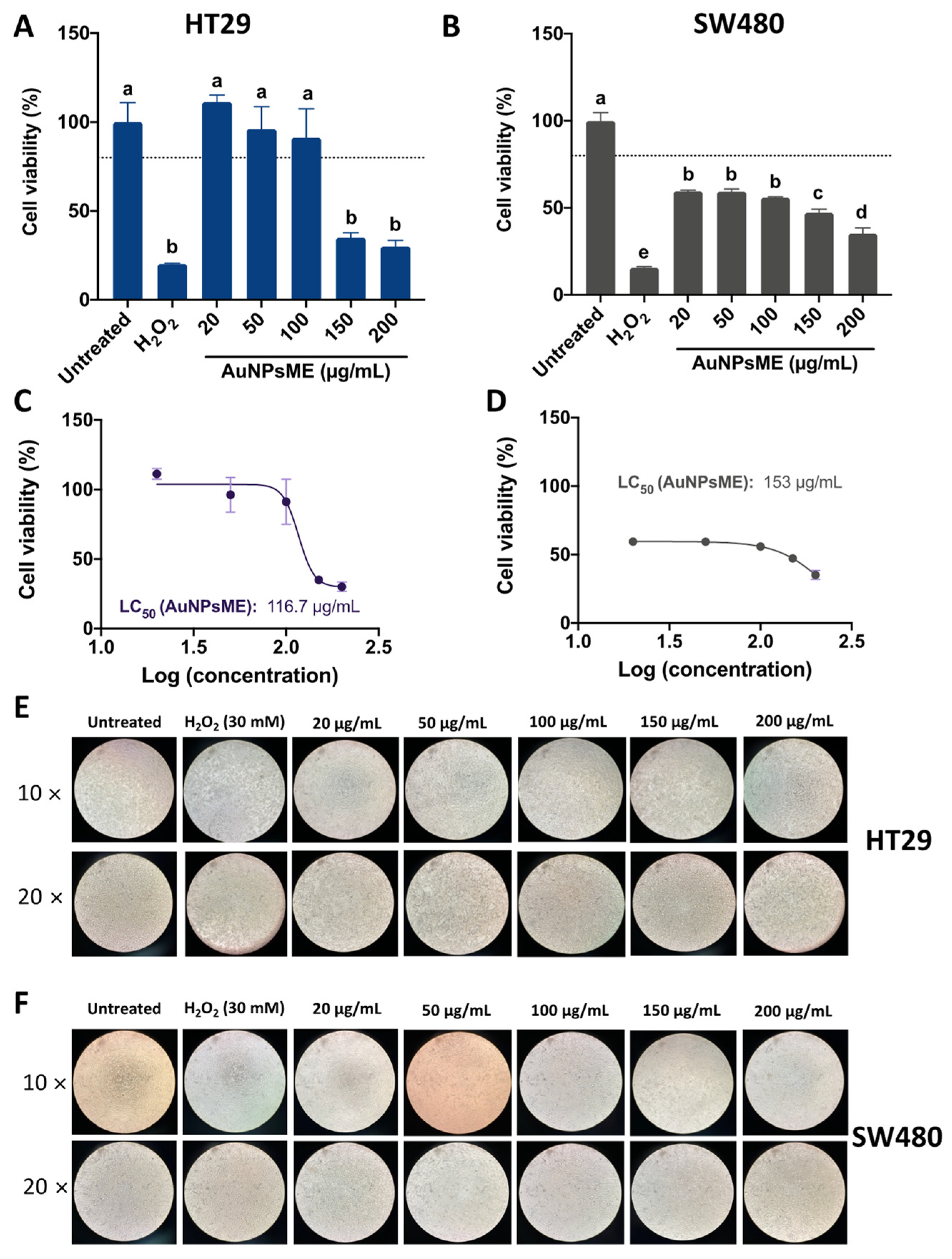 Pharmaceutics 14 02069 g004