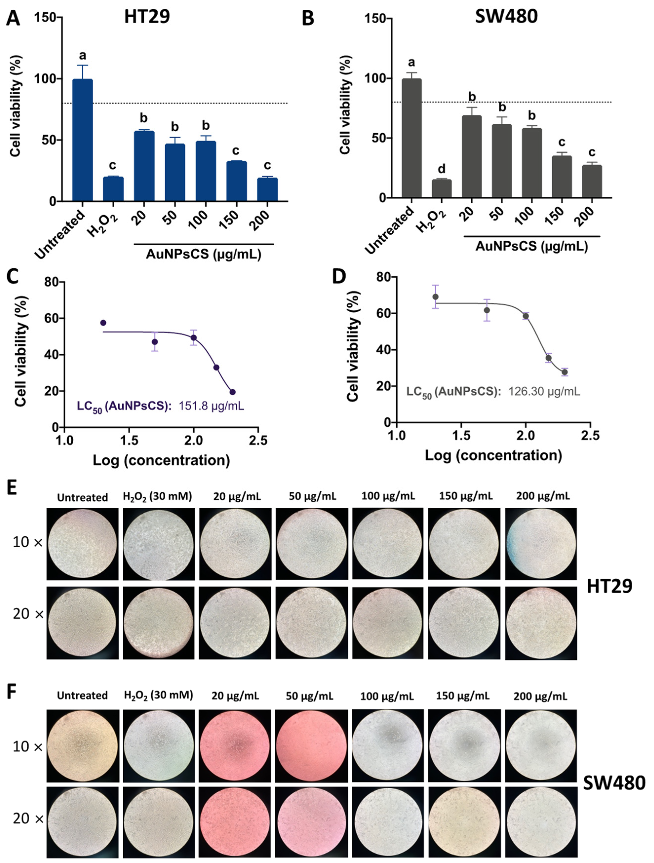 Pharmaceutics 14 02069 g006