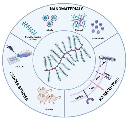 Pharmaceutics | Free Full-Text | Hyaluronic Acid-Based Nanomaterials ...