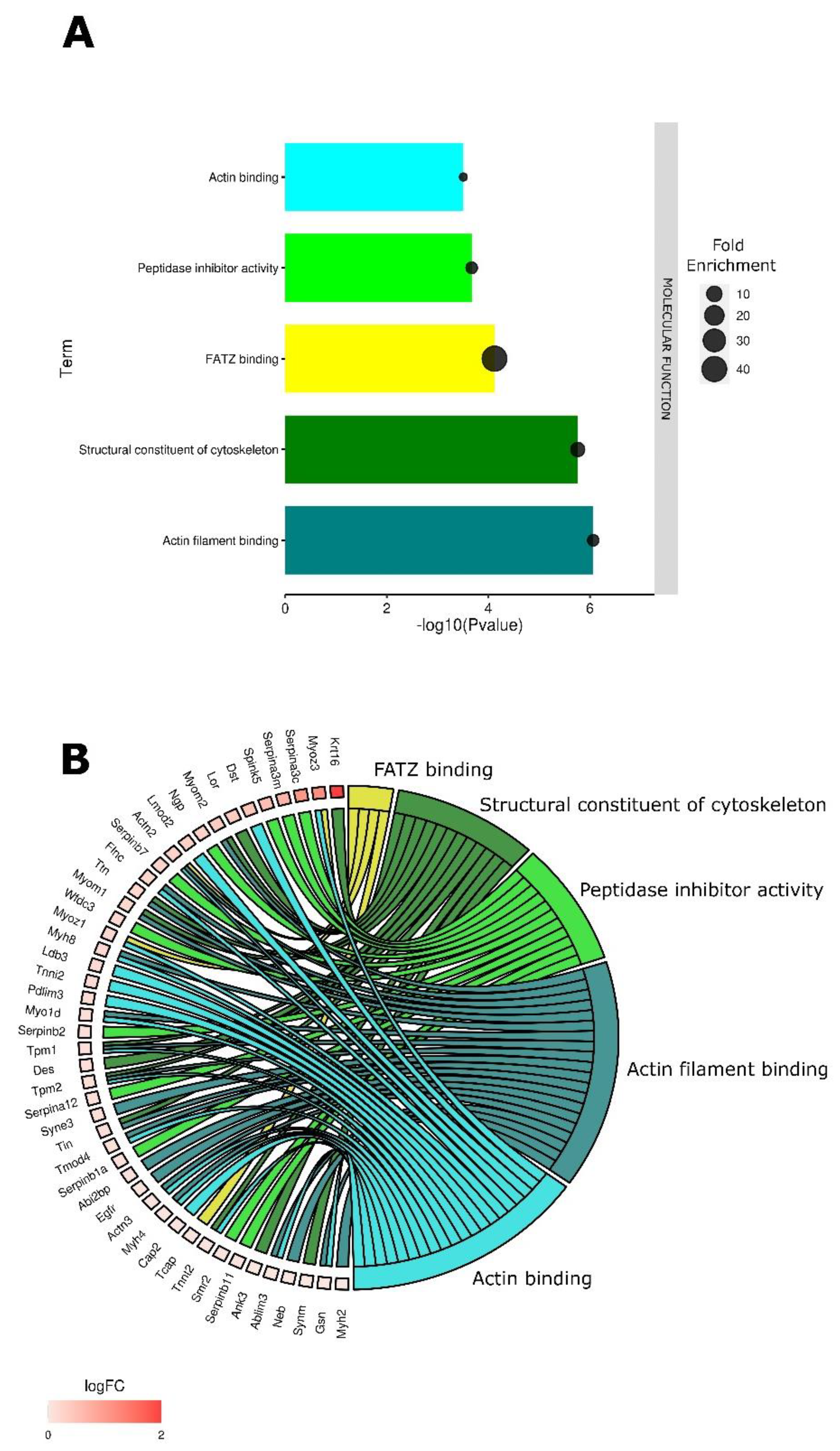 Pharmaceutics 14 02097 g001