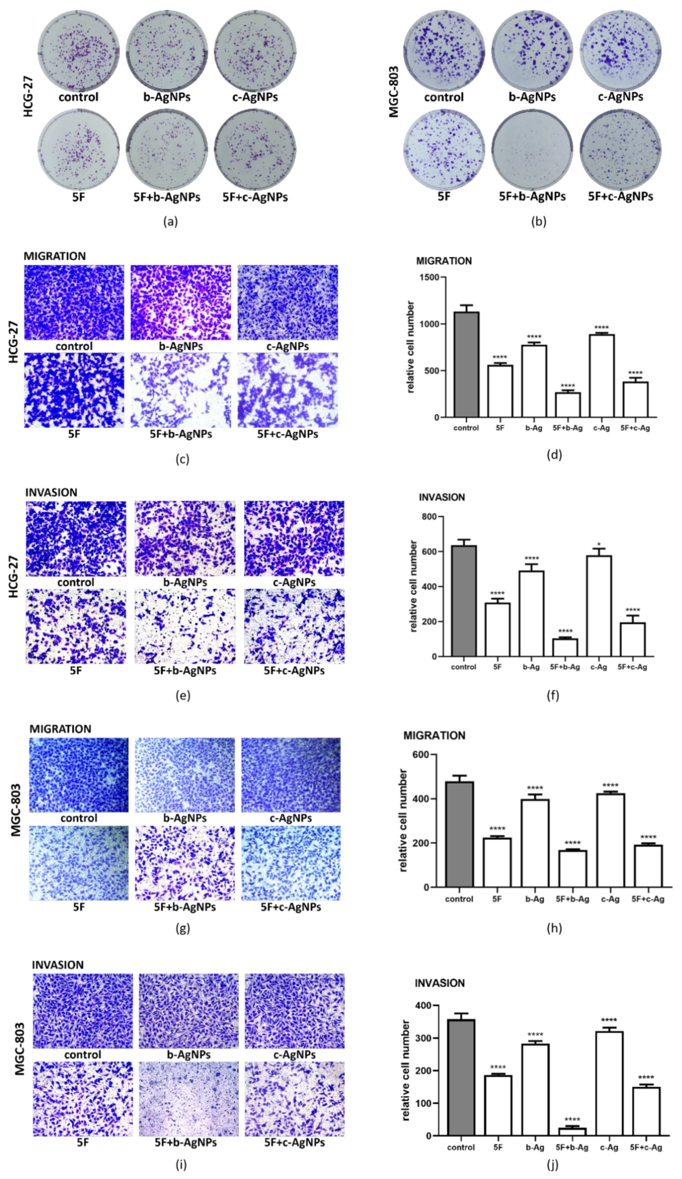 Pharmaceutics 14 02109 g004