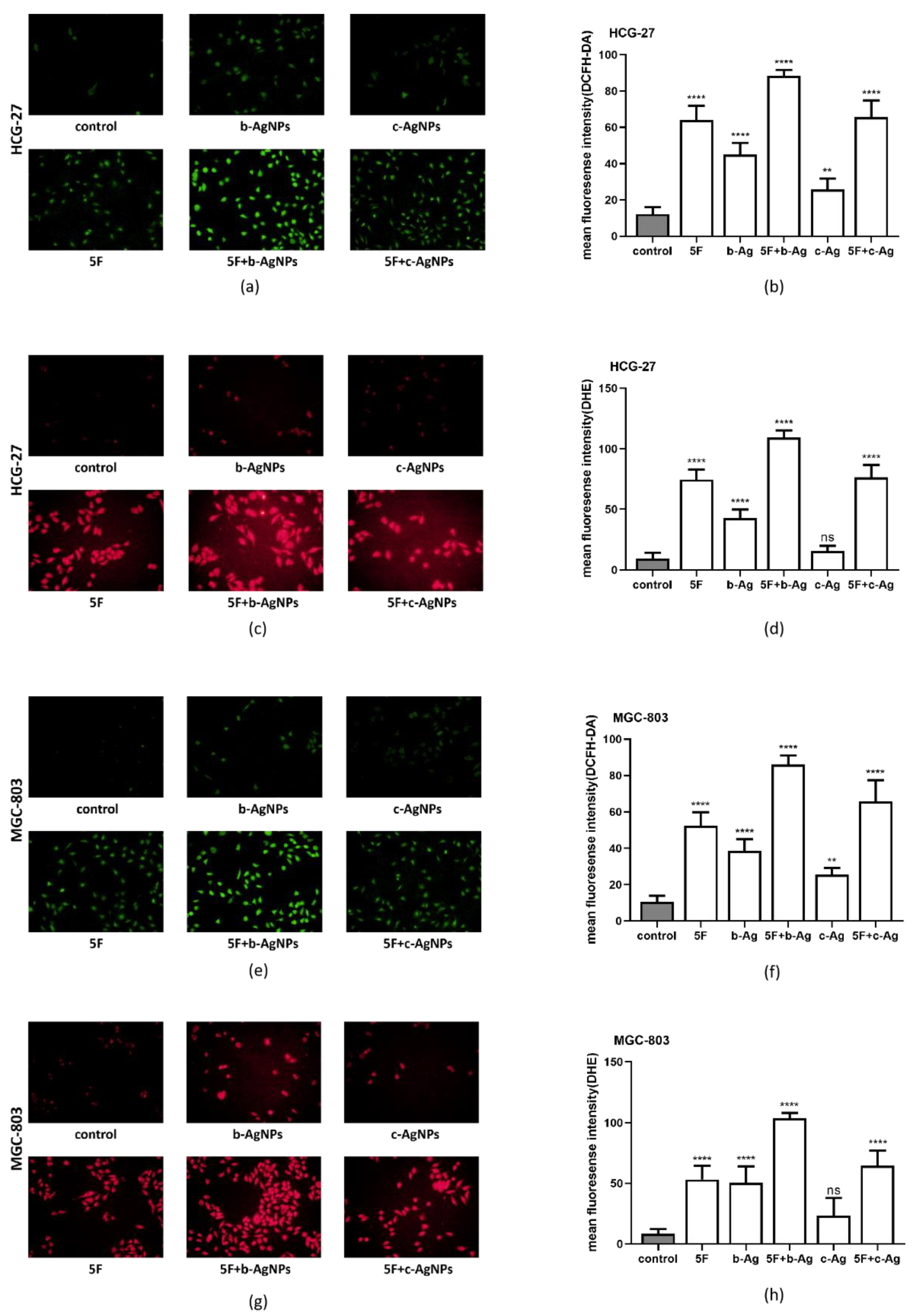 Pharmaceutics 14 02109 g006