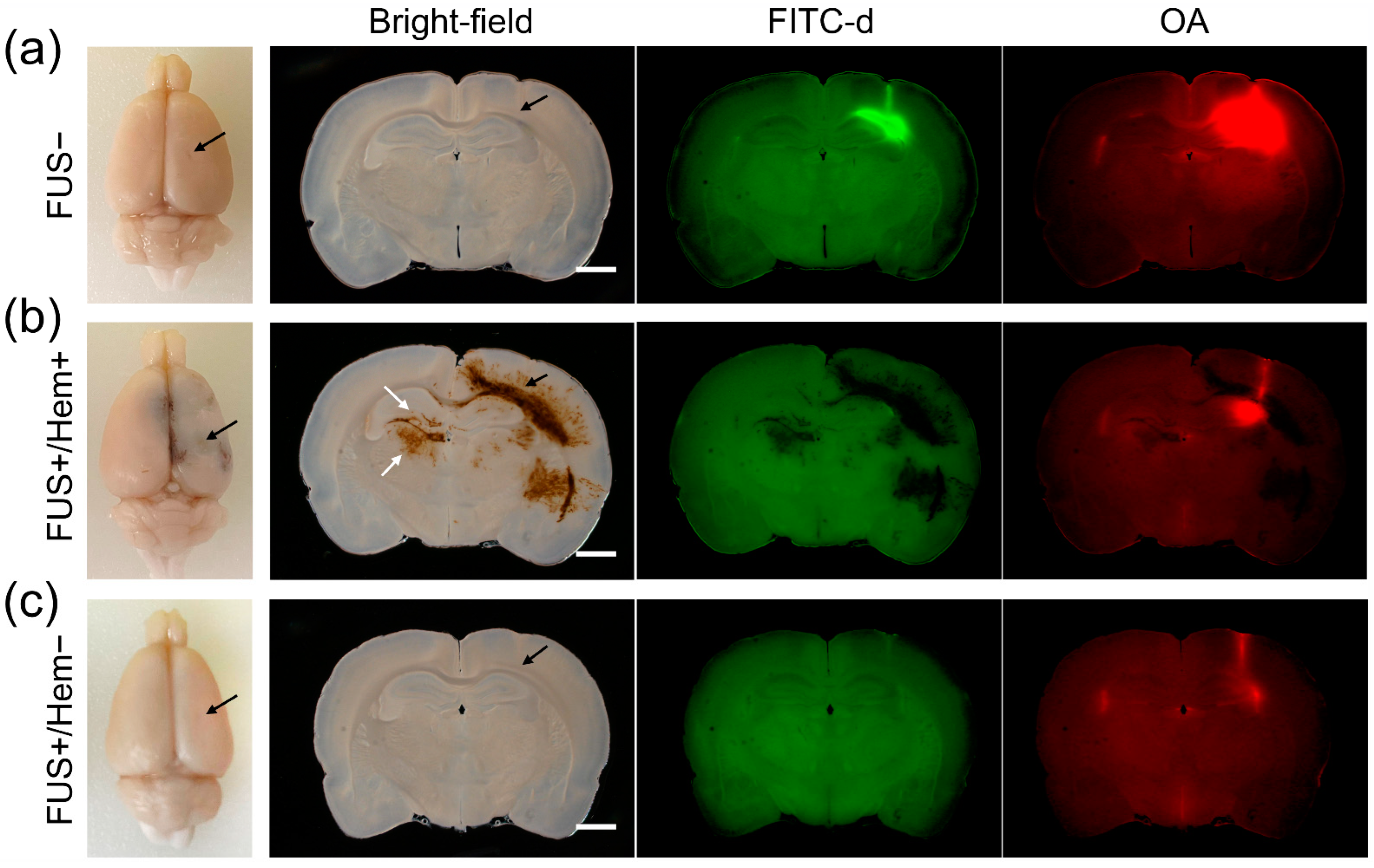 Pharmaceutics 14 02120 g002