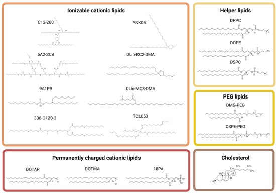 Pharmaceutics | Free Full-Text | Delivery Of RNAs To Specific Organs By ...