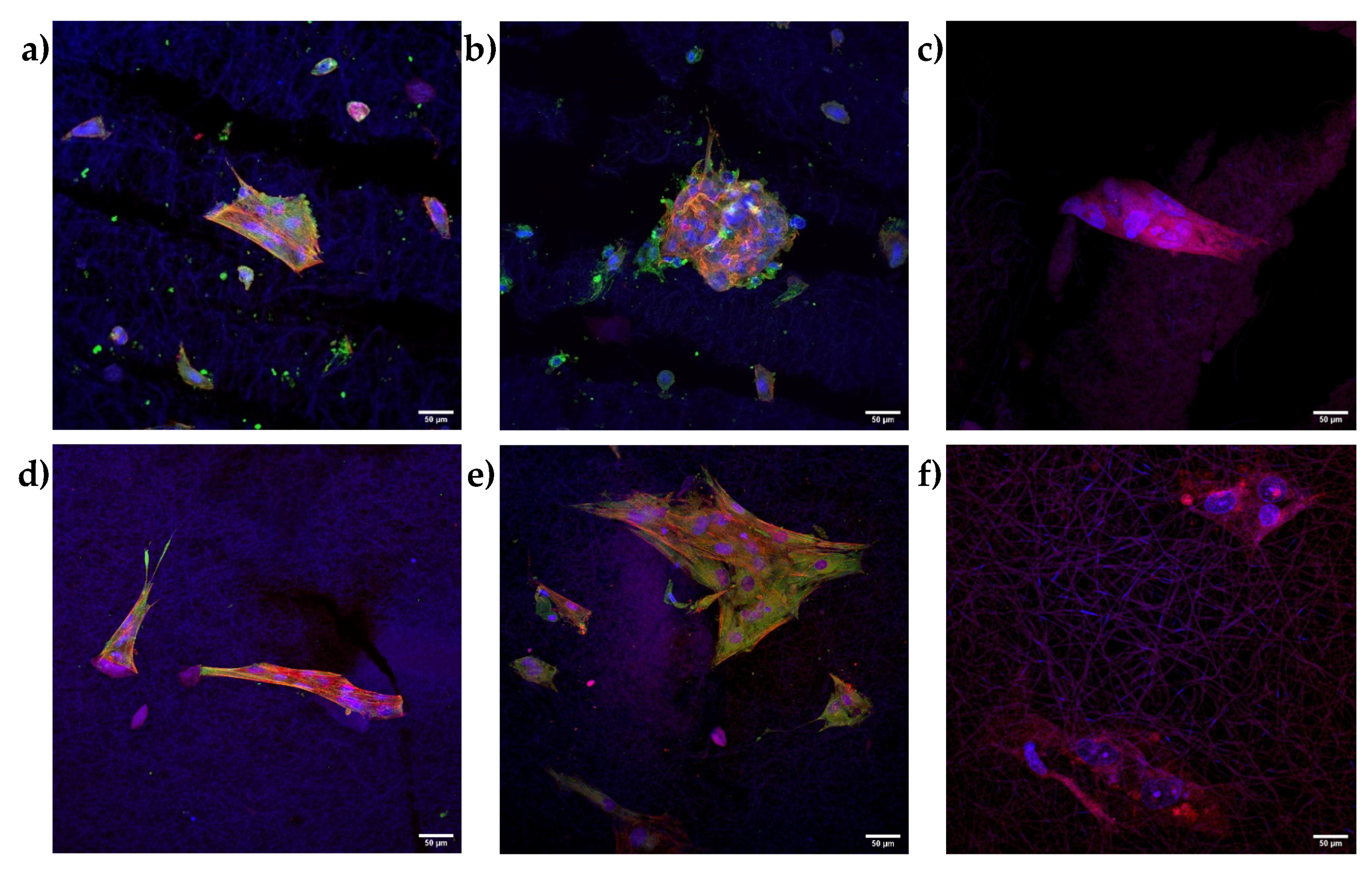 Pharmaceutics 14 02153 g009