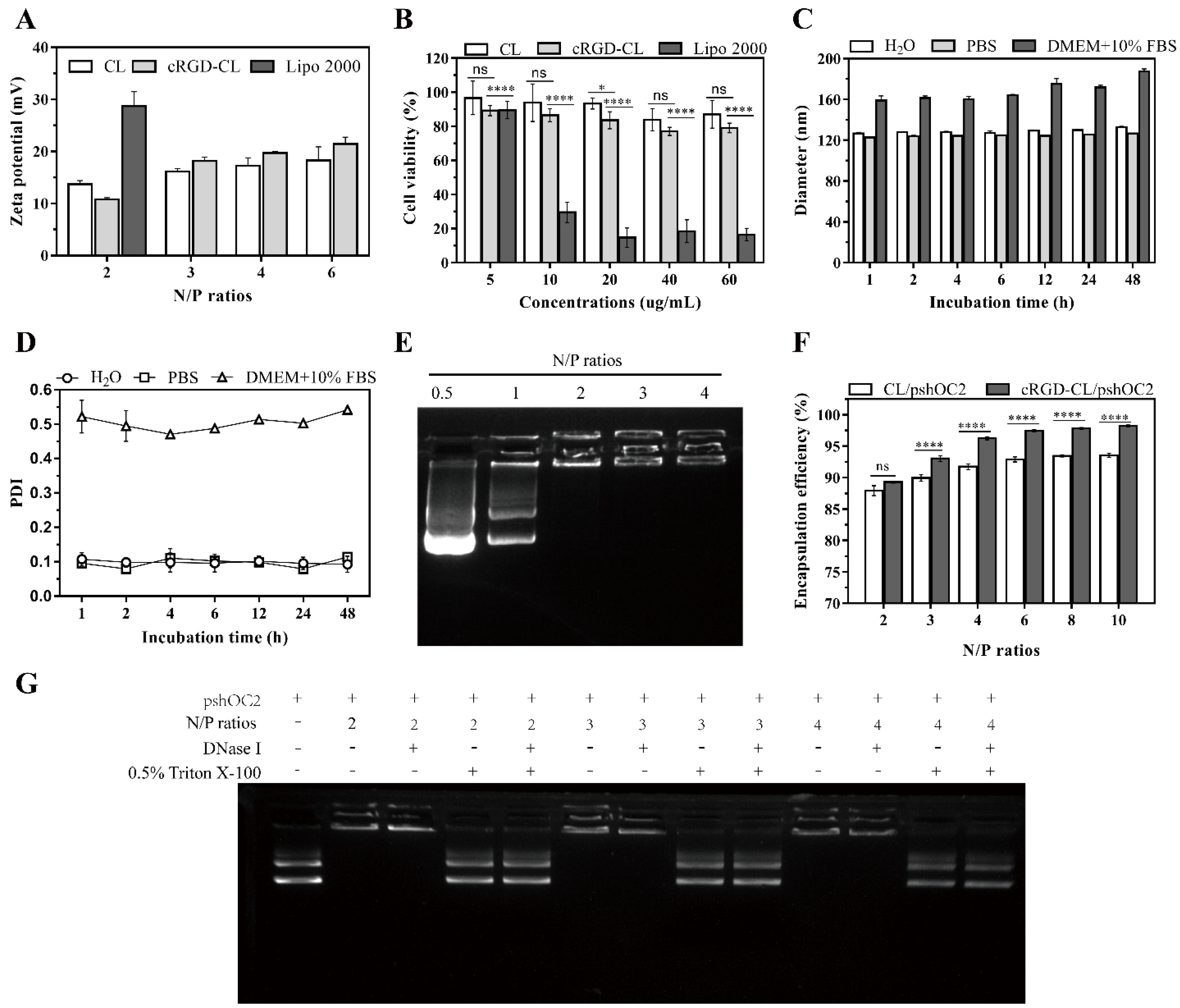 Pharmaceutics 14 02157 g002