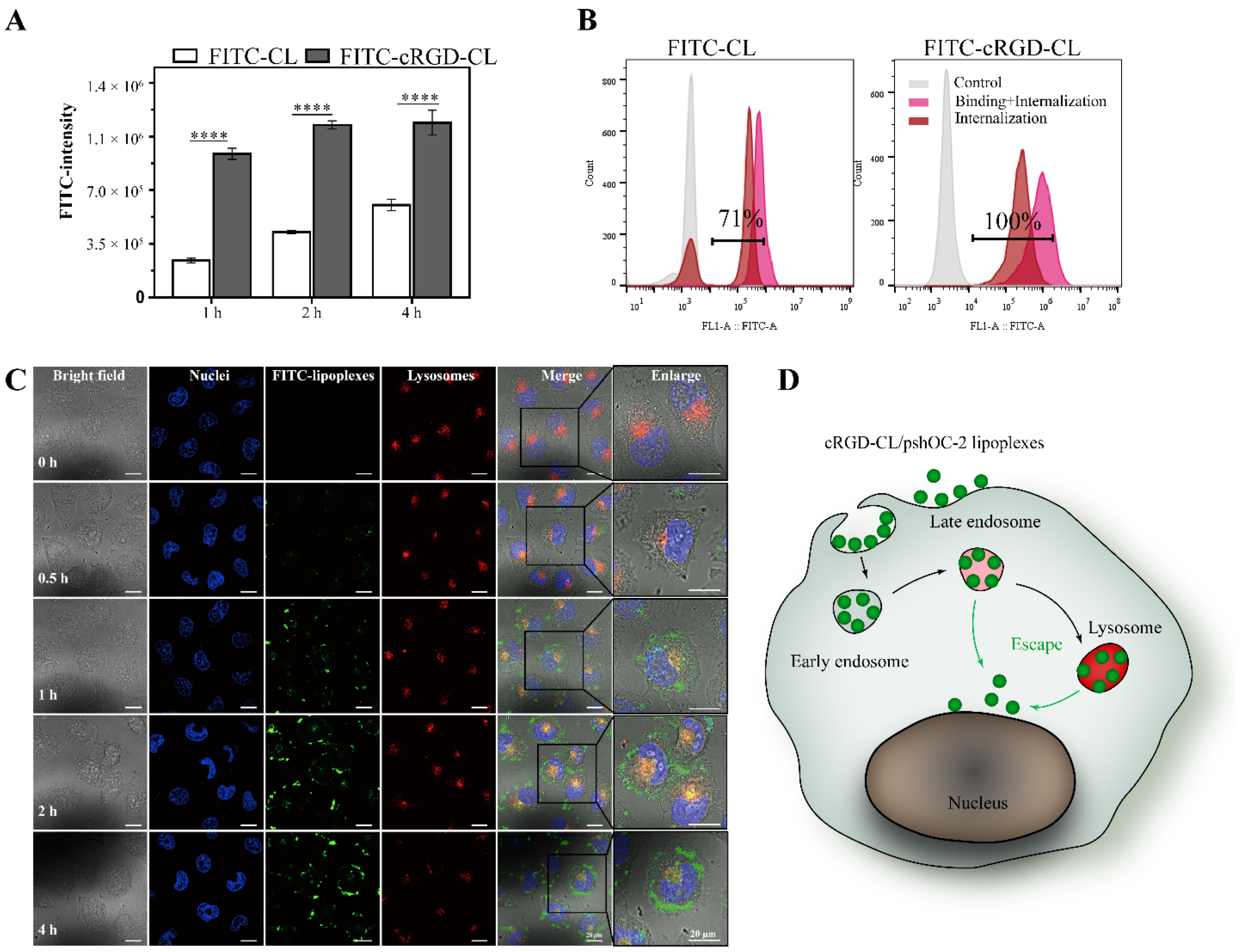 Pharmaceutics 14 02157 g003