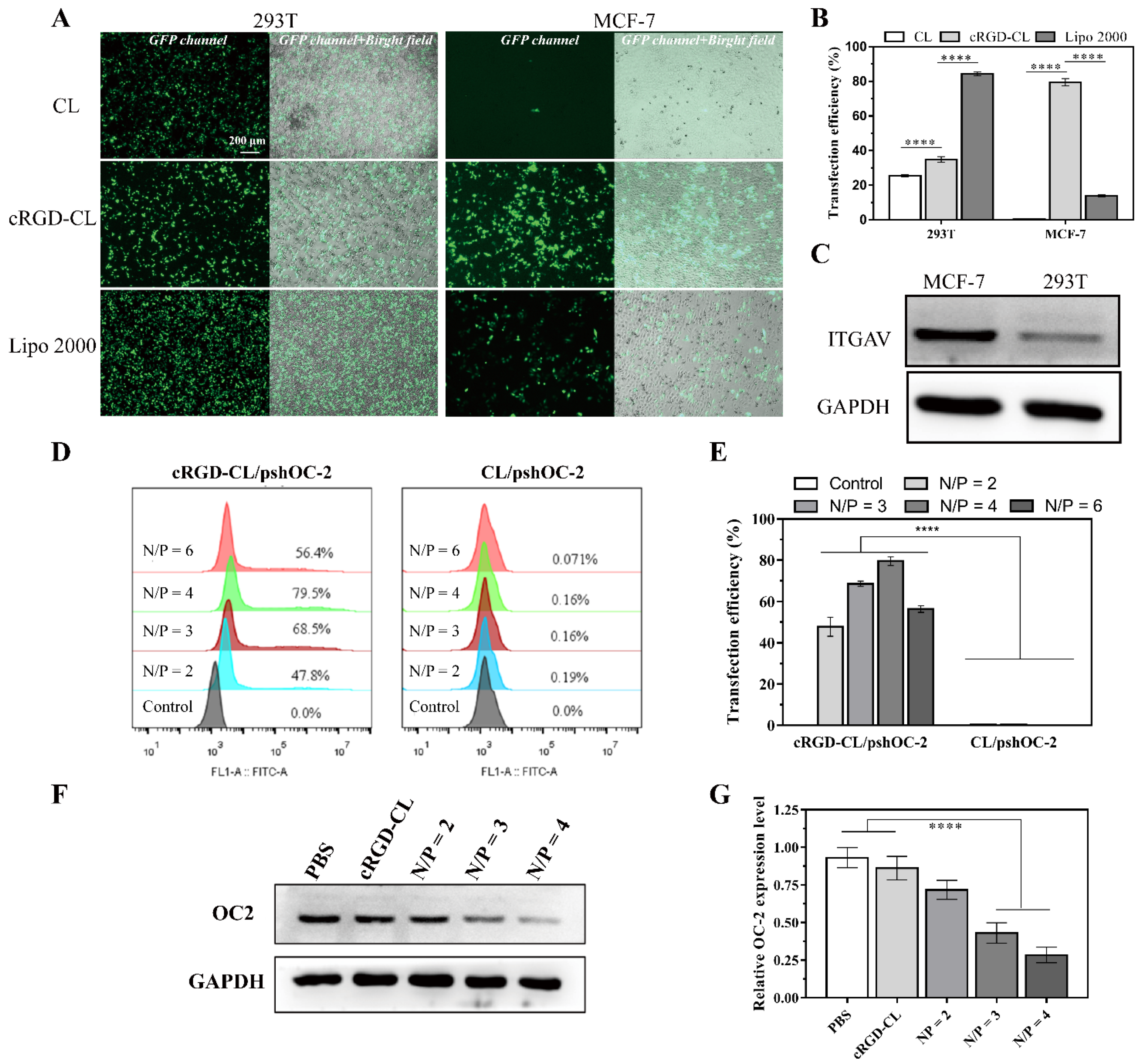 Pharmaceutics 14 02157 g004
