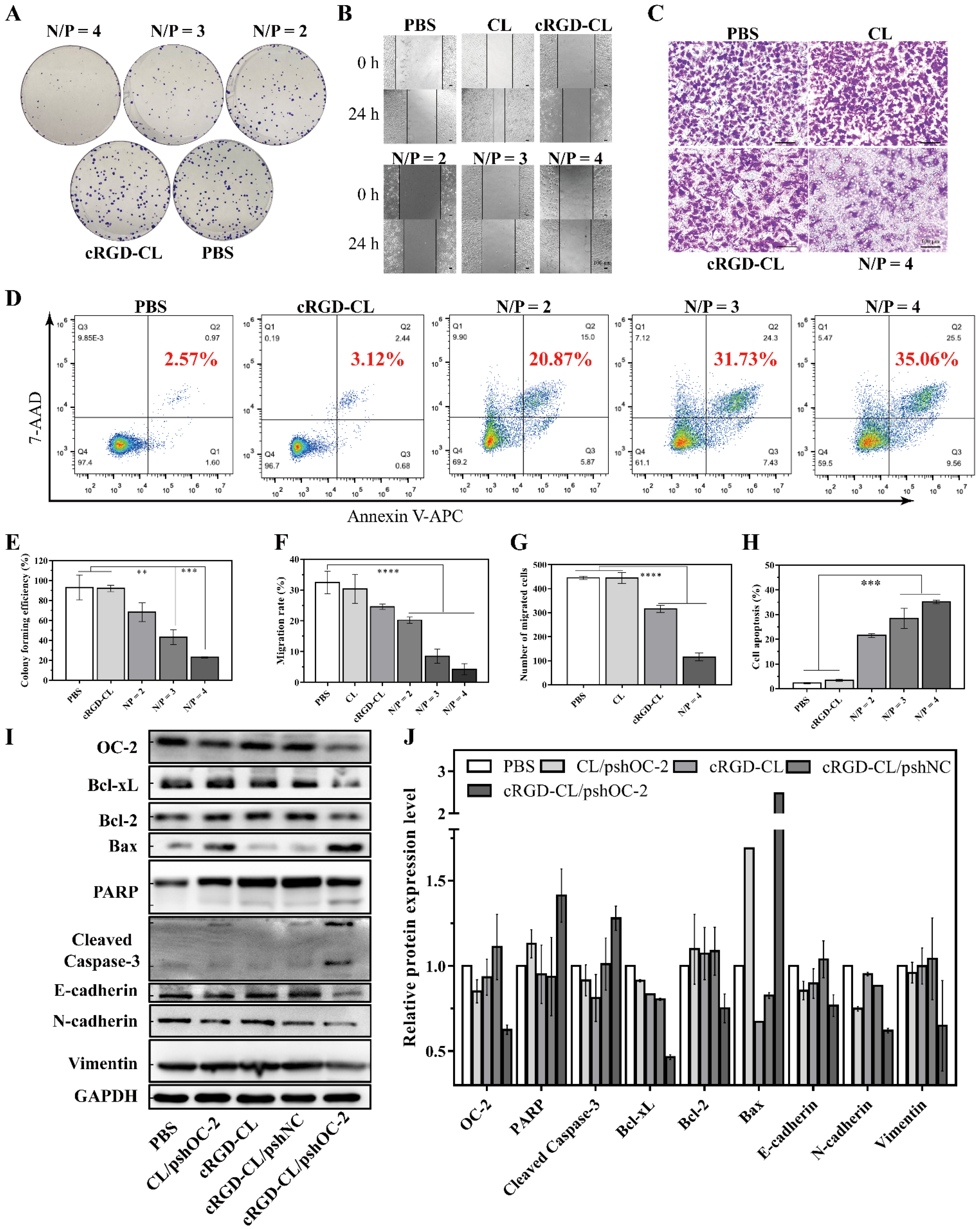 Pharmaceutics 14 02157 g005
