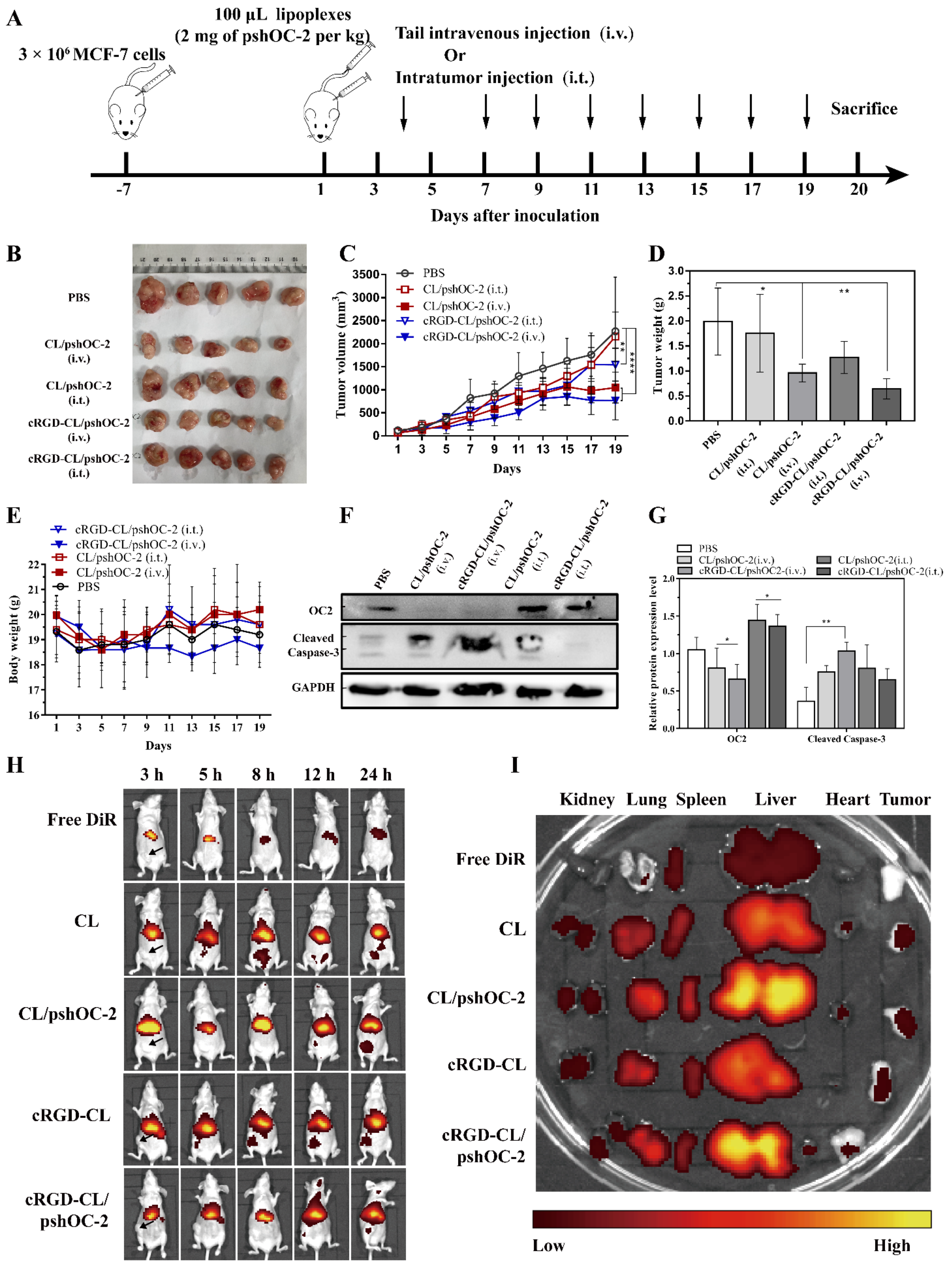 Pharmaceutics 14 02157 g006