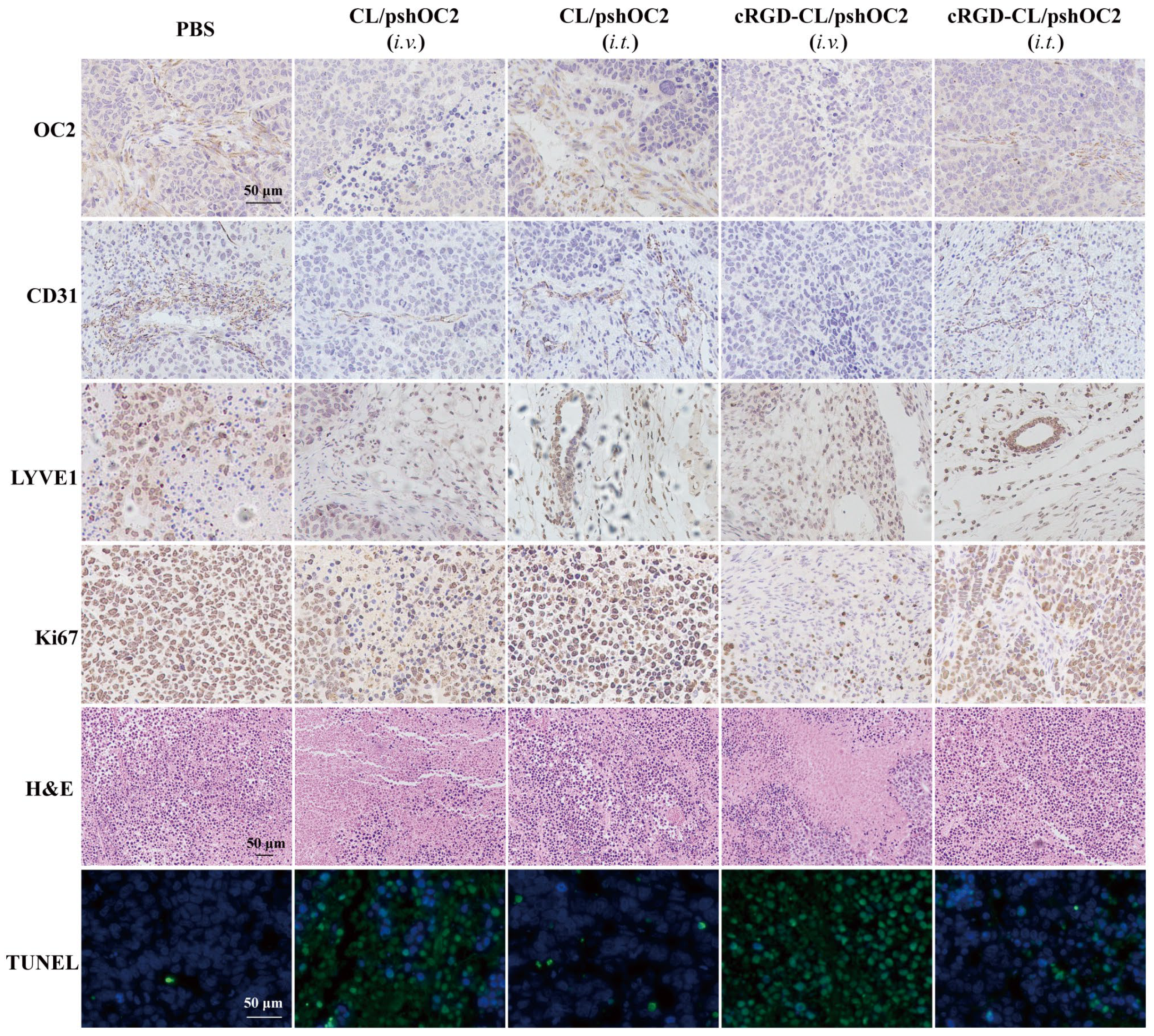 Pharmaceutics 14 02157 g007