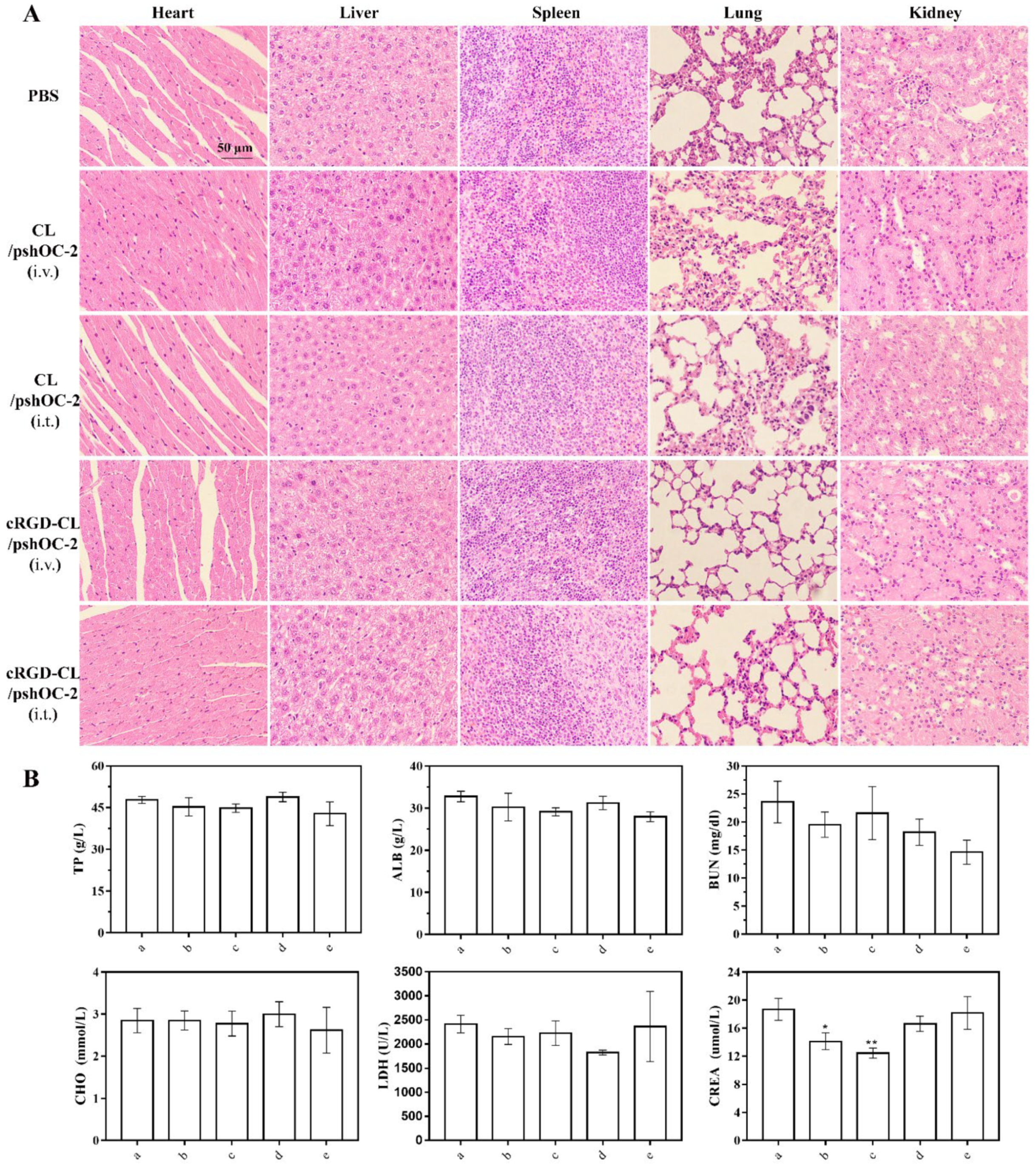 Pharmaceutics 14 02157 g008