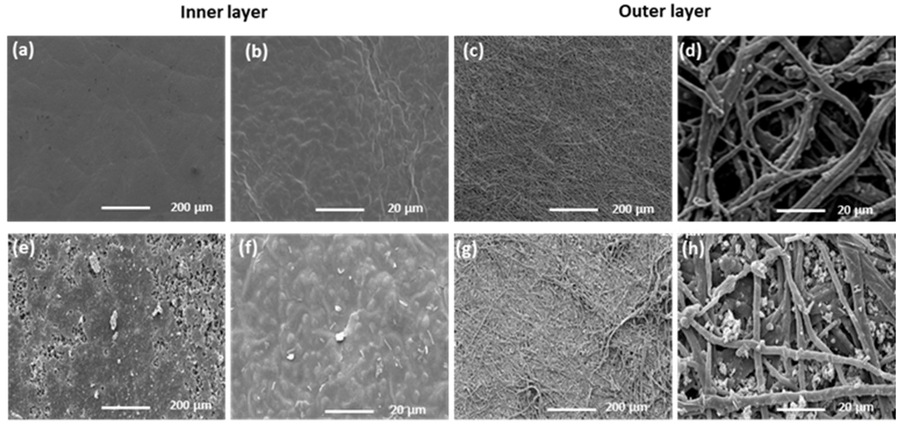 Pharmaceutics 14 02162 g002