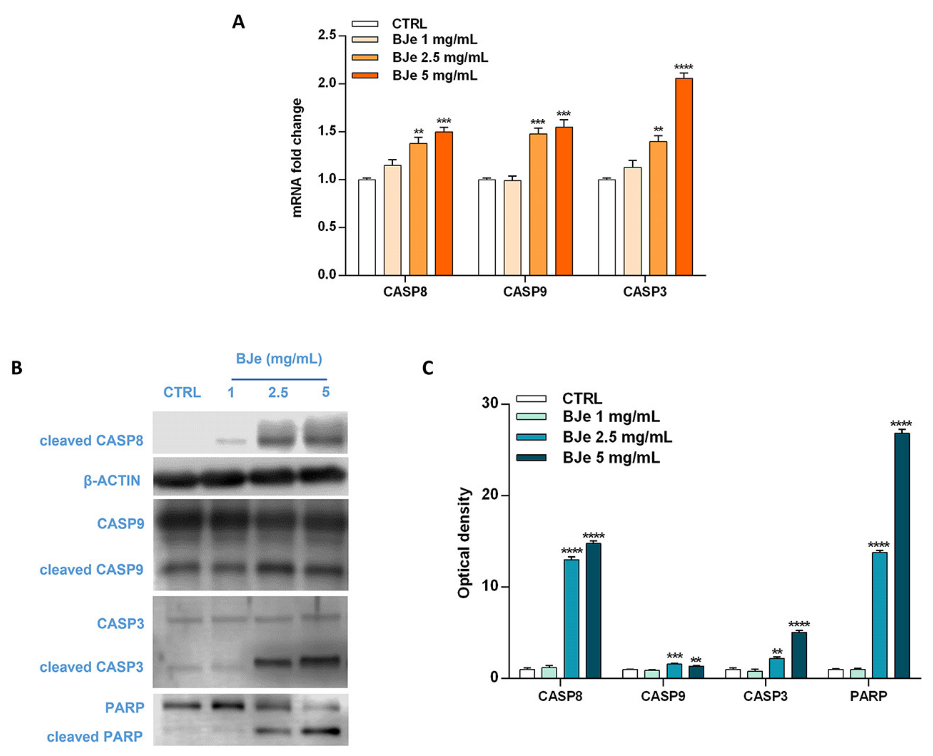Pharmaceutics 14 02168 g006