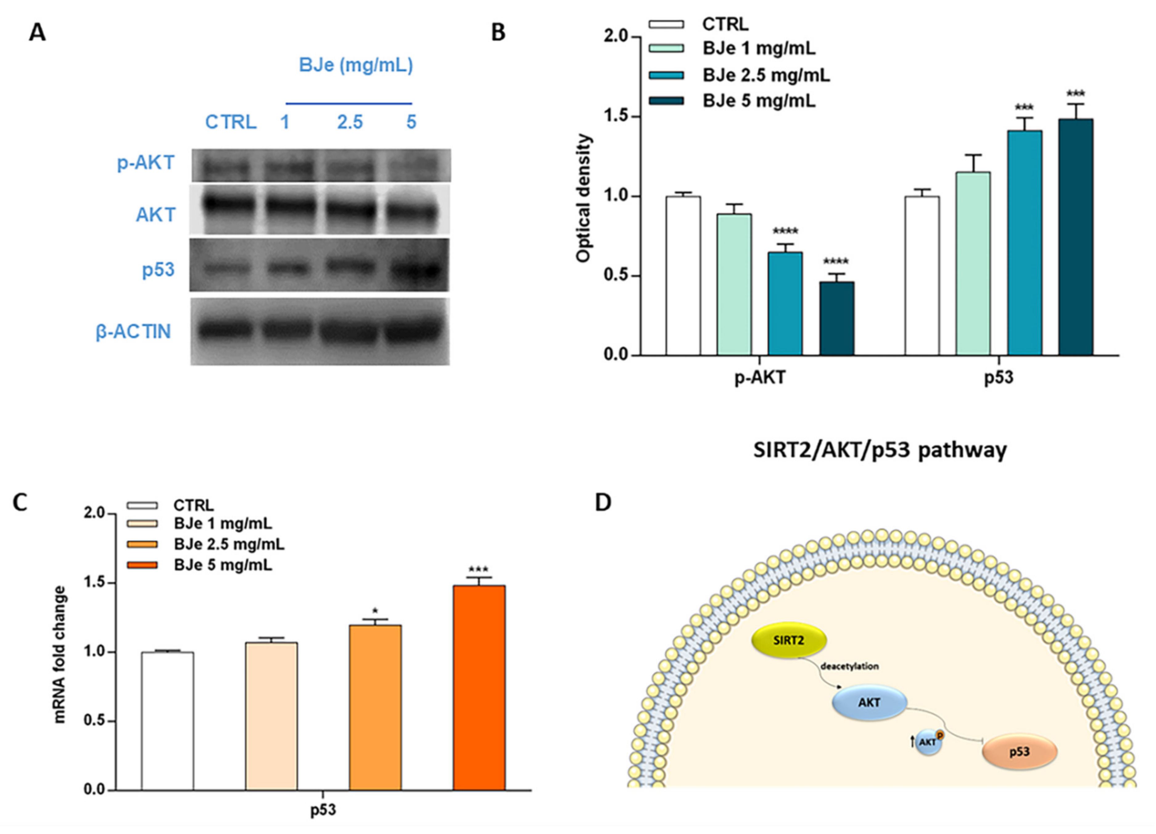 Pharmaceutics 14 02168 g010