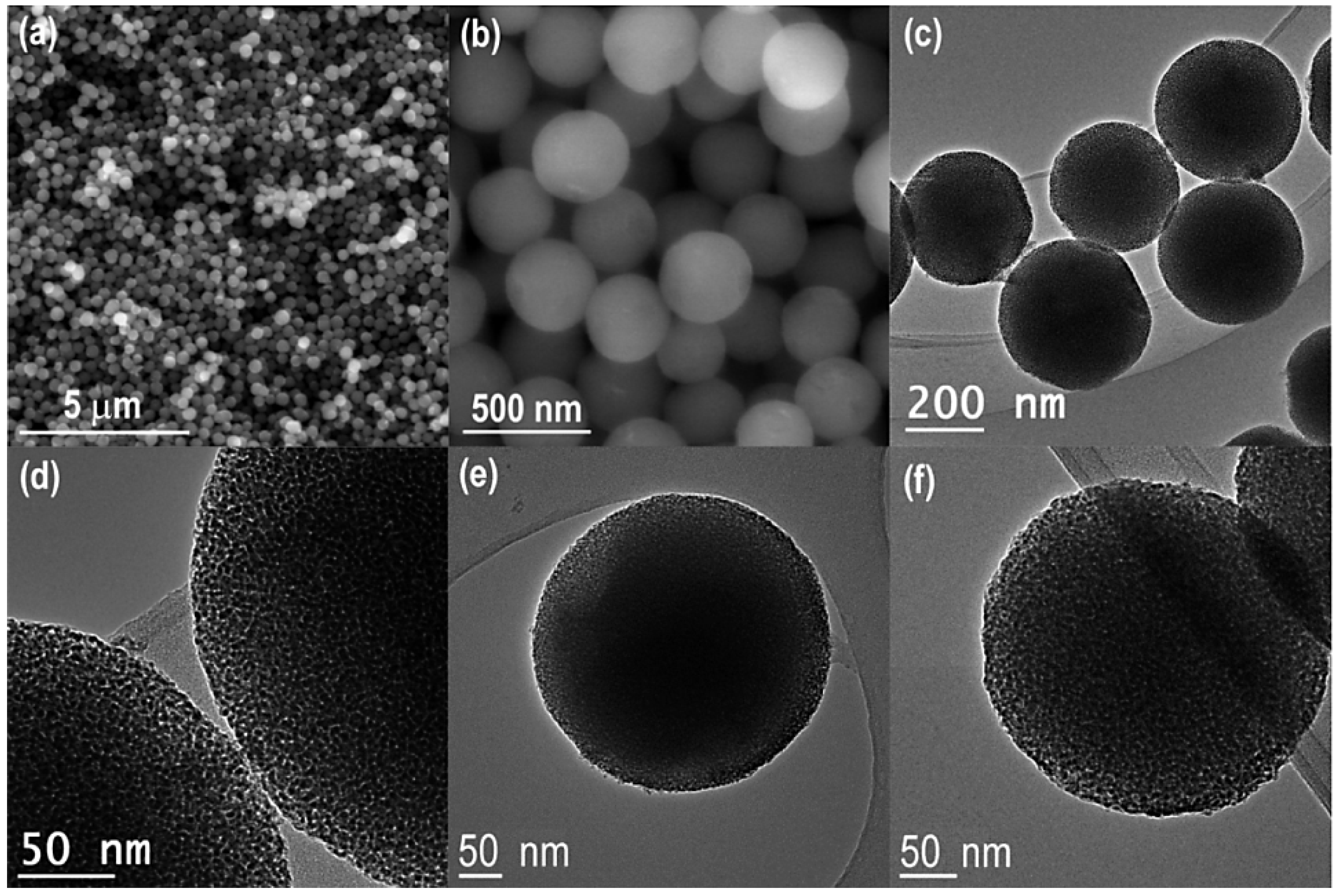 Pharmaceutics 14 02180 g015