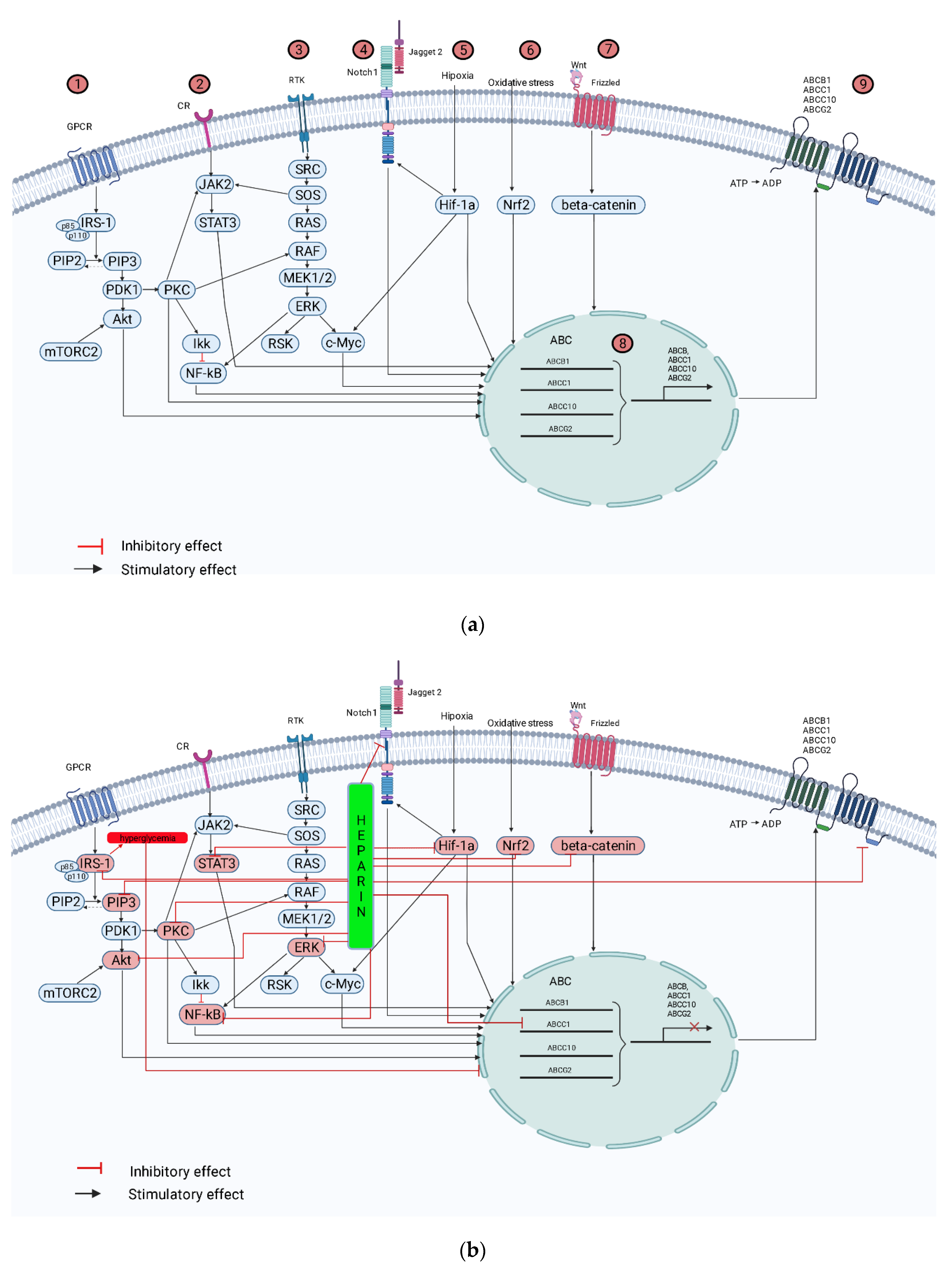 Pharmaceutics 14 02181 g002 Pharmaceutics 14 02181 g002