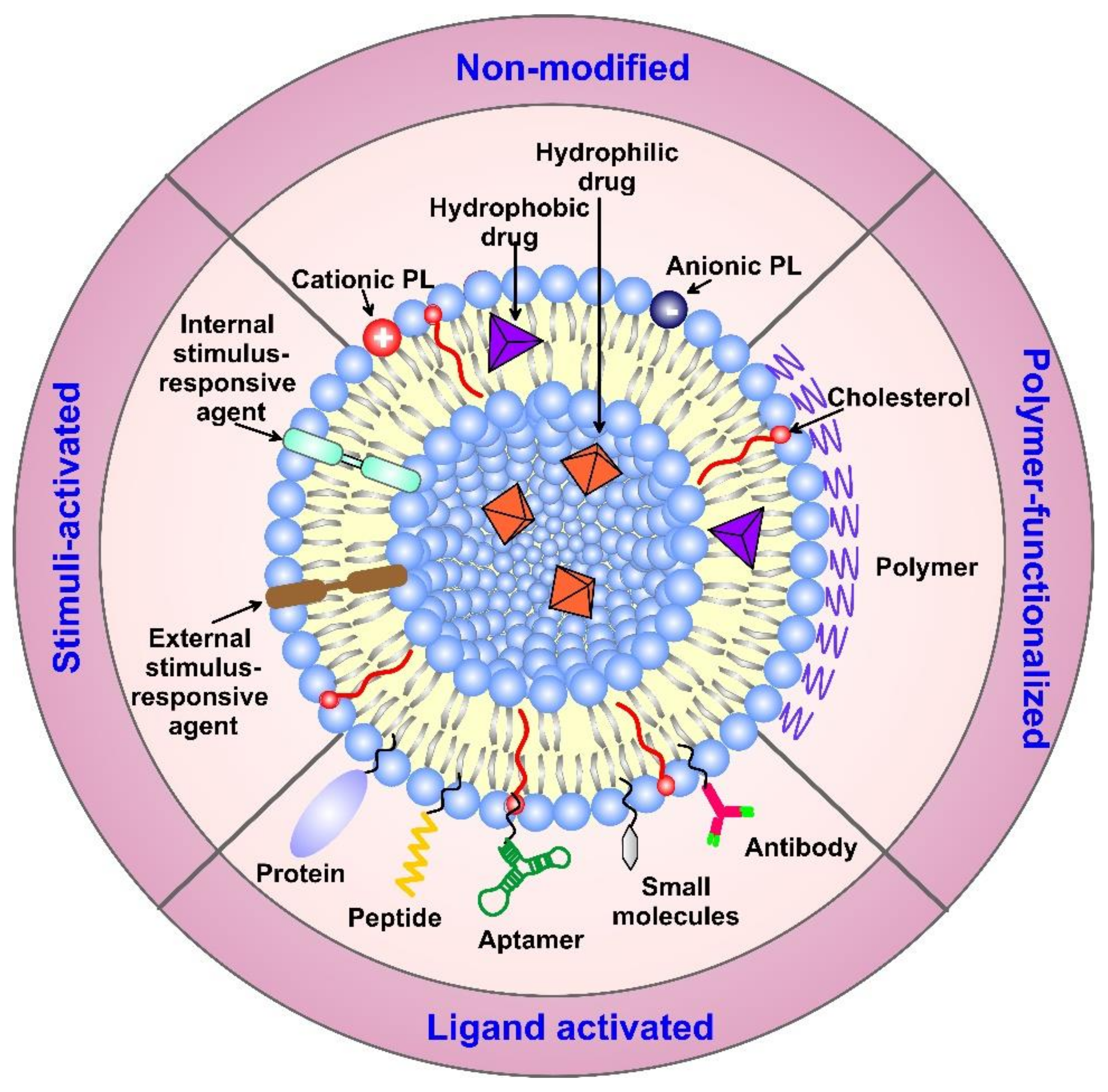 Pharmaceutics | Free Full-Text | Updates on Responsive Drug Delivery Based  on Liposome Vehicles for Cancer Treatment