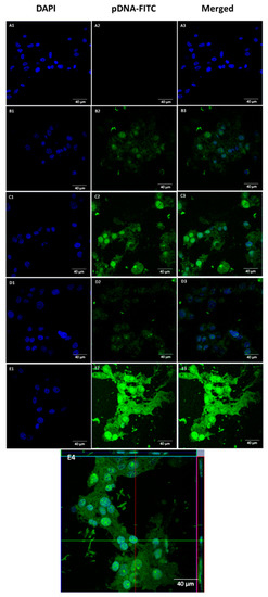 Pharmaceutics | Free Full-Text | Development of WRAP5 Peptide 