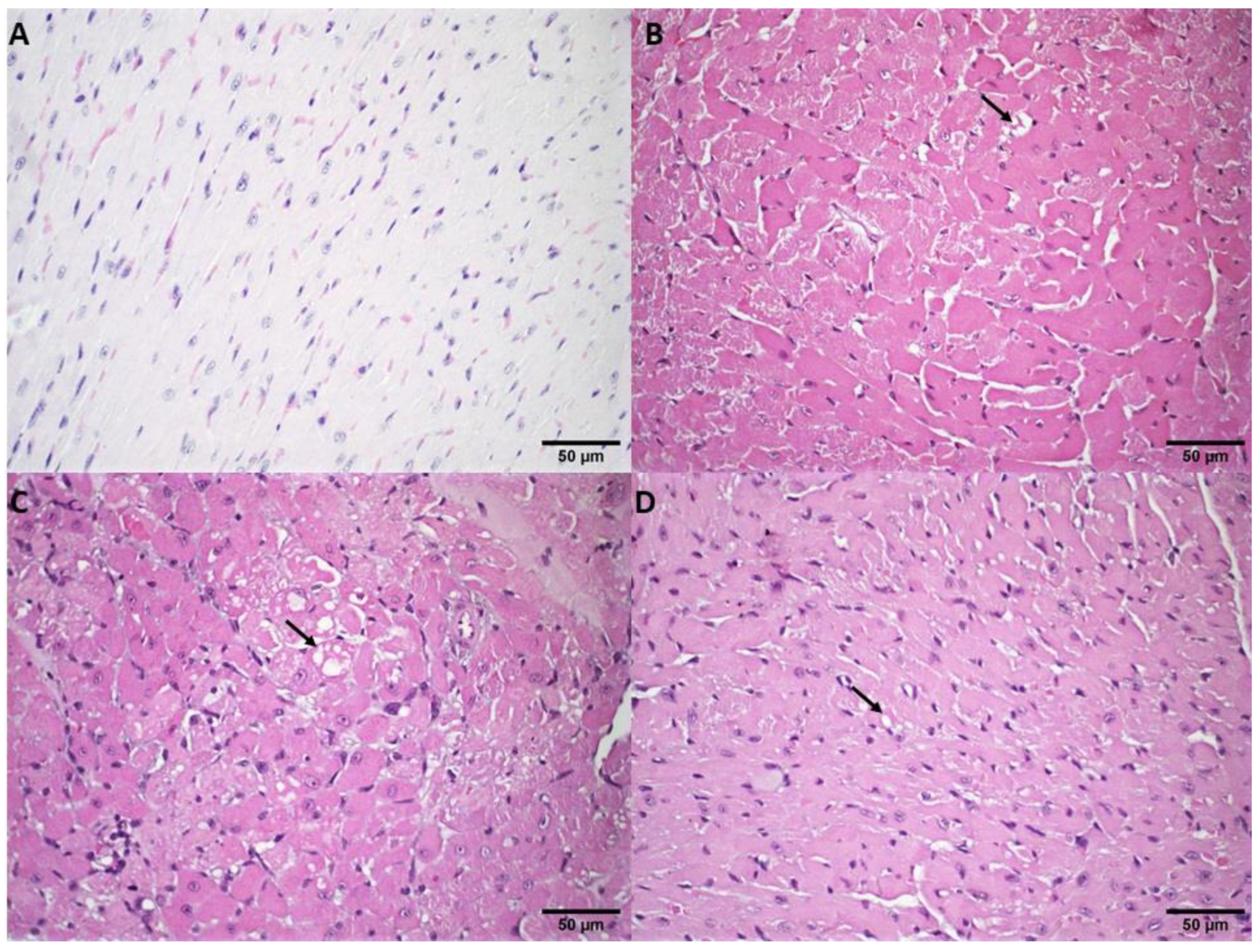 Pharmaceutics 14 02256 g003 Pharmaceutics 14 02256 g003