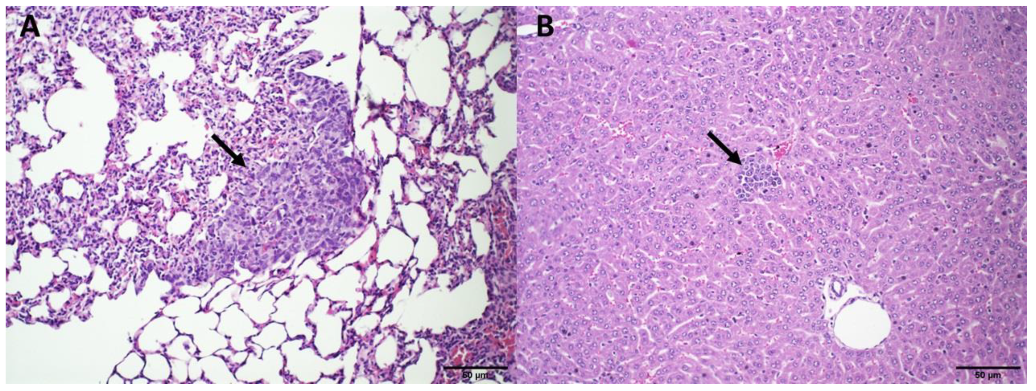 Pharmaceutics 14 02256 g006 Pharmaceutics 14 02256 g006