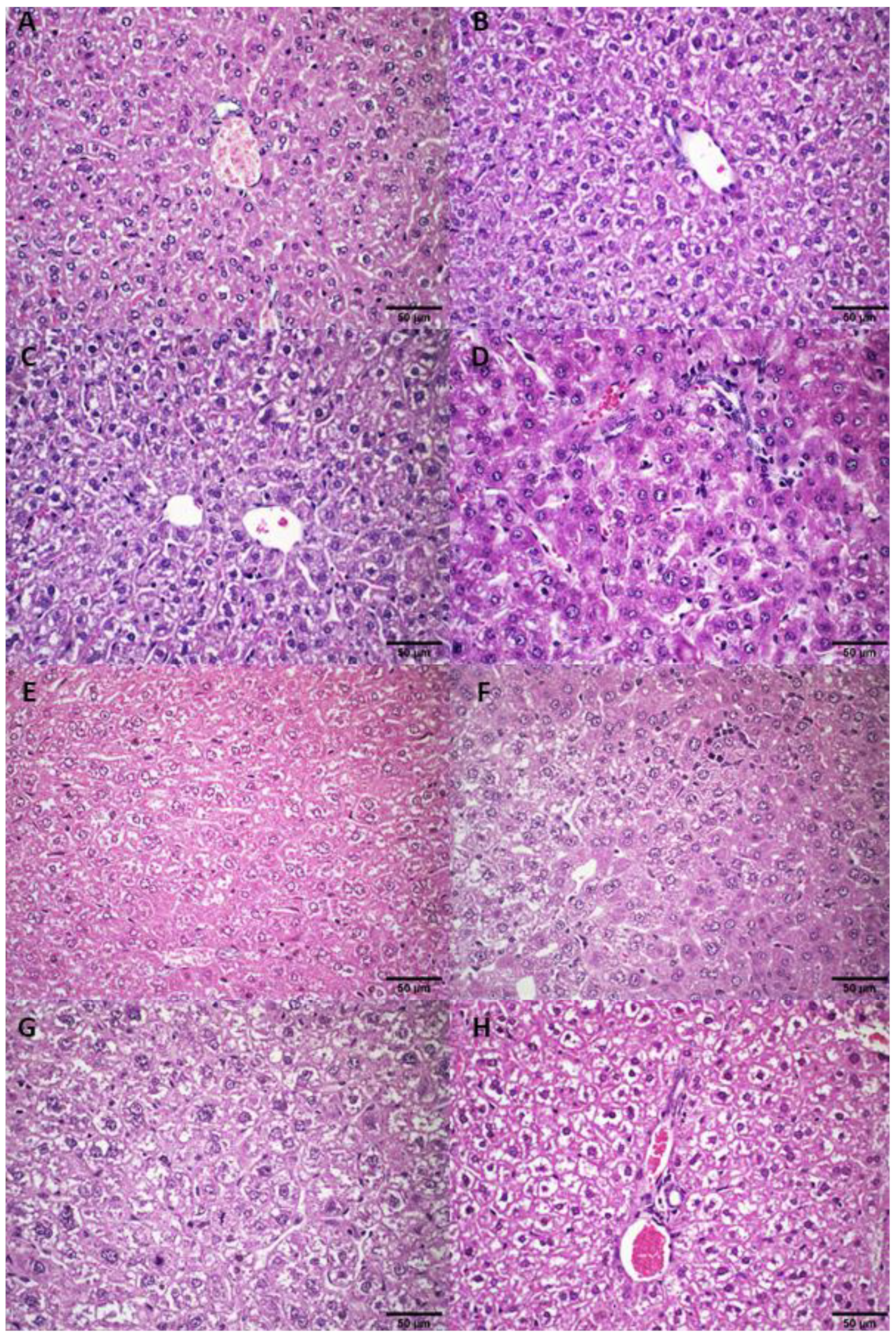 Pharmaceutics 14 02256 g0a3 Pharmaceutics 14 02256 g0a3