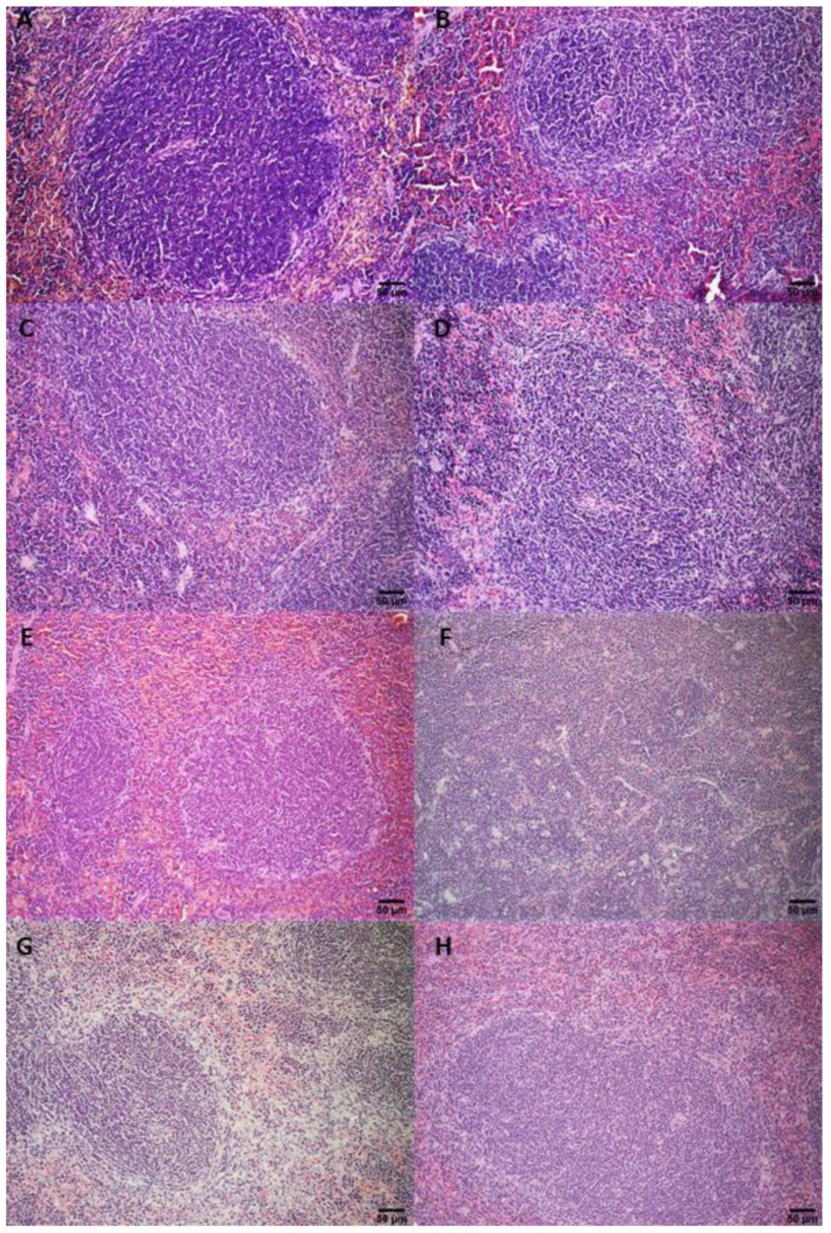 Pharmaceutics 14 02256 g0a4 Pharmaceutics 14 02256 g0a4