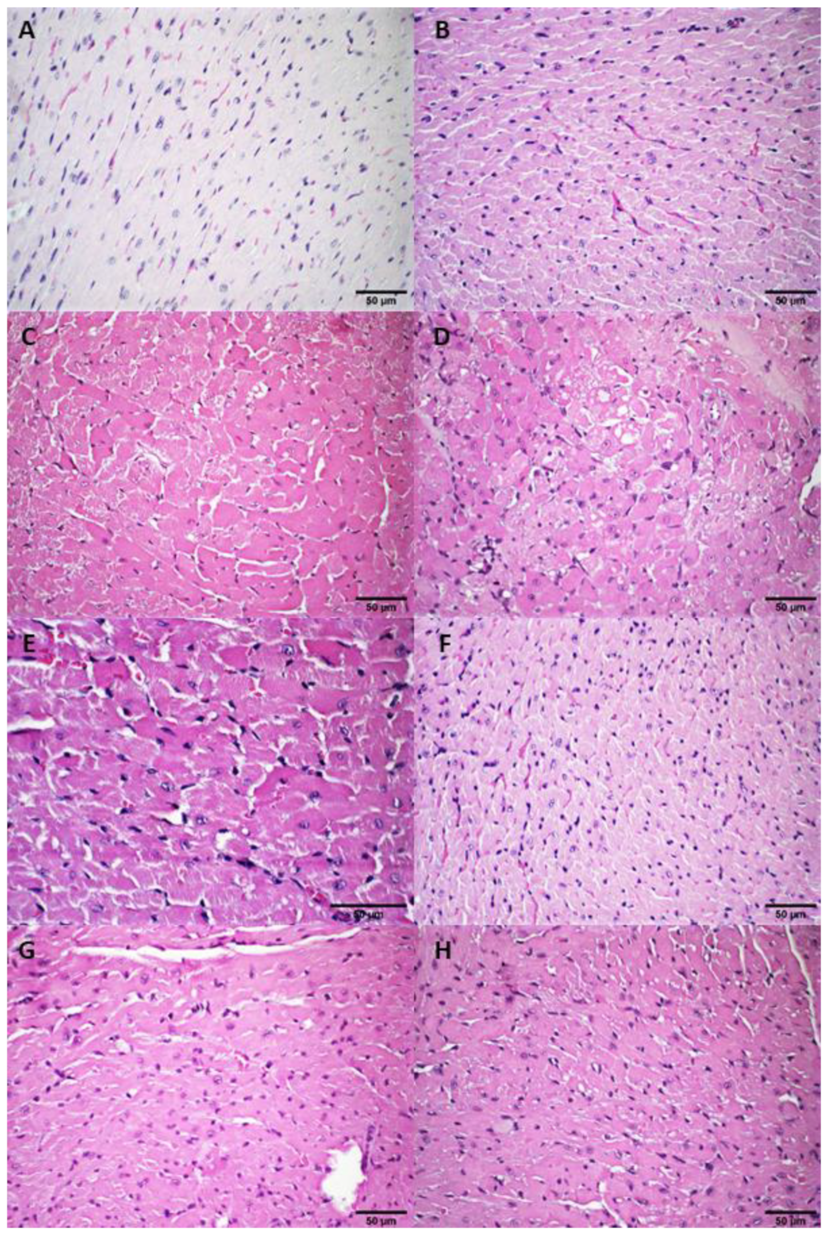 Pharmaceutics 14 02256 g0a6 Pharmaceutics 14 02256 g0a6