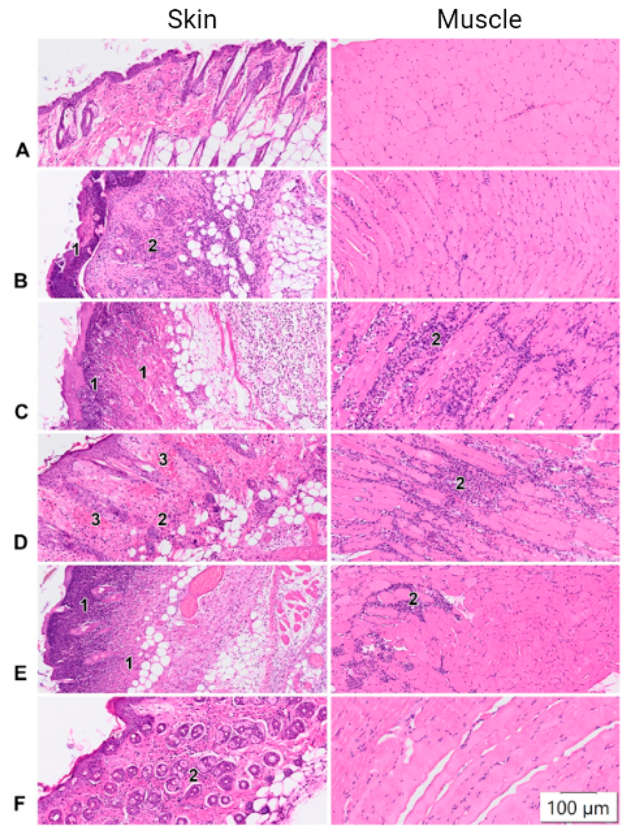 Pharmaceutics 14 02259 g001