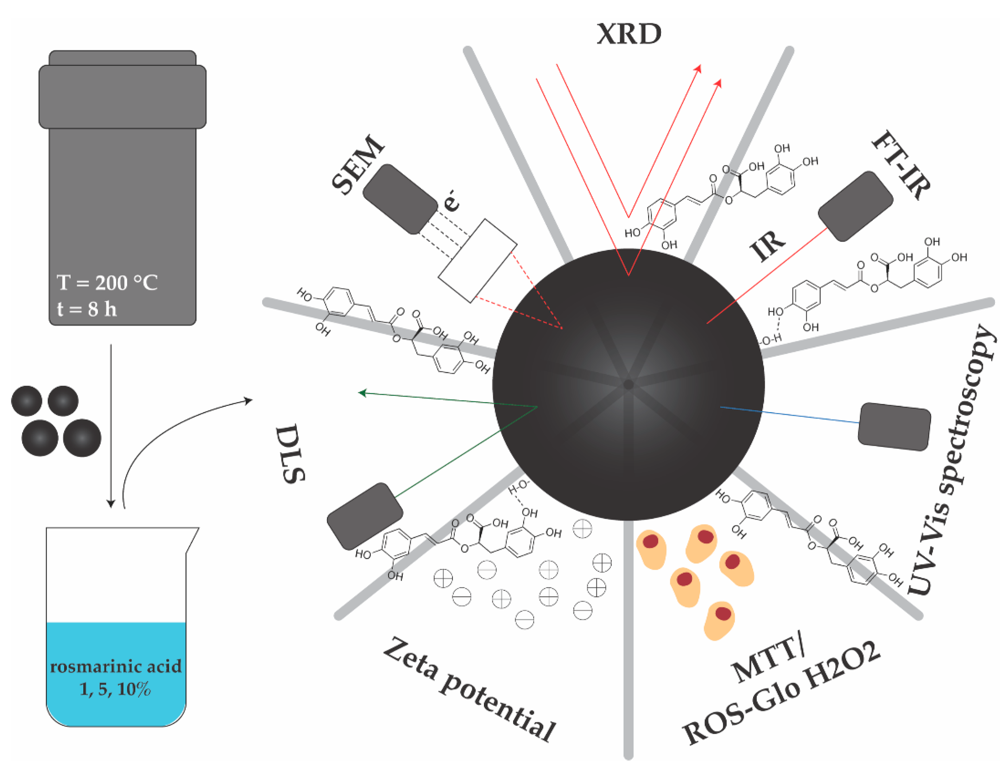 Pharmaceutics 14 02292 g001