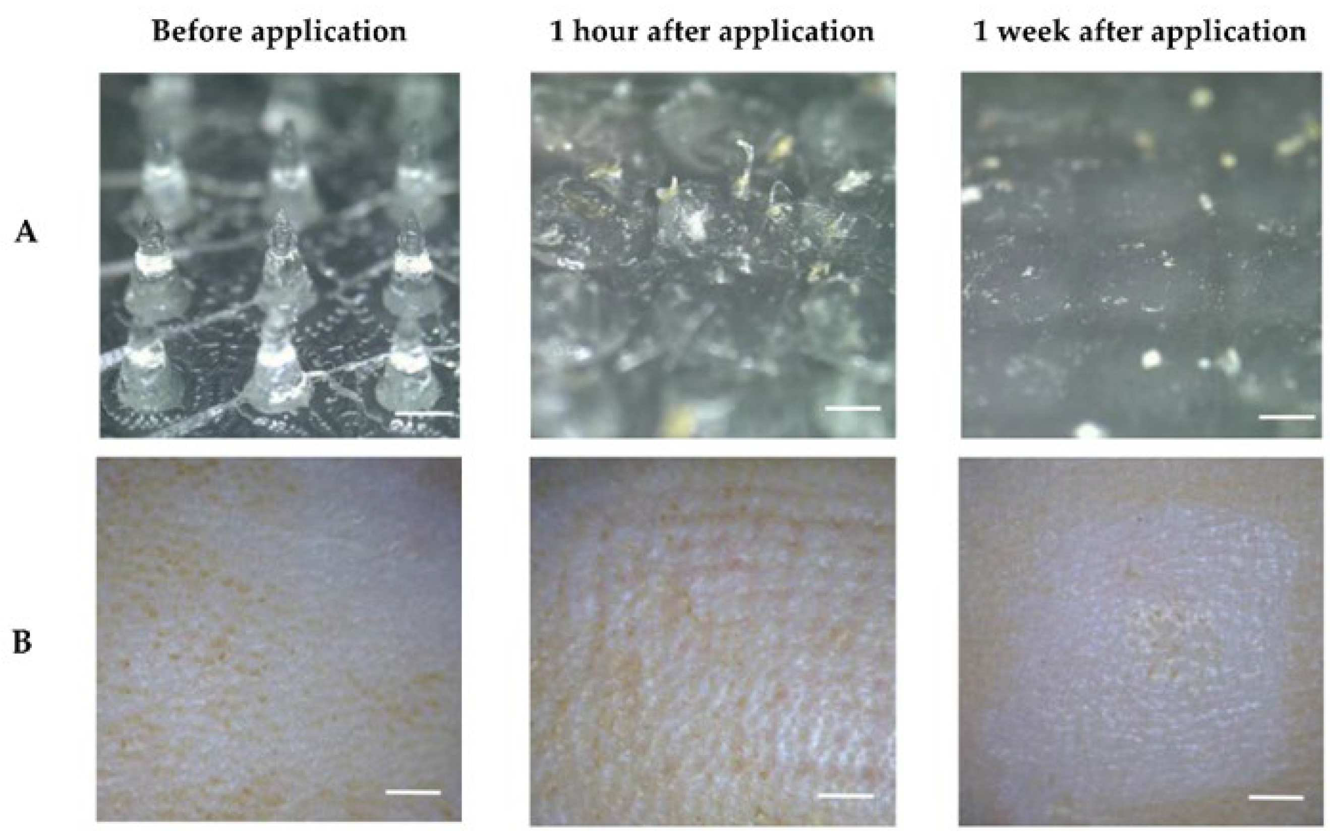 Pharmaceutics 14 02296 g006