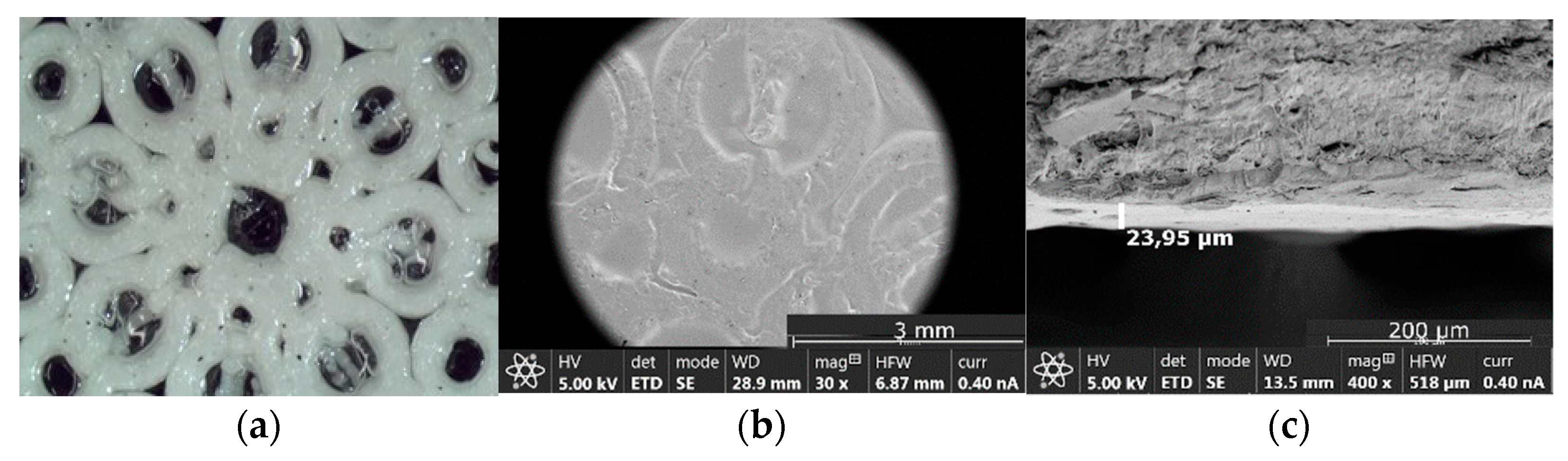 Pharmaceutics 14 02298 g008 Pharmaceutics 14 02298 g008