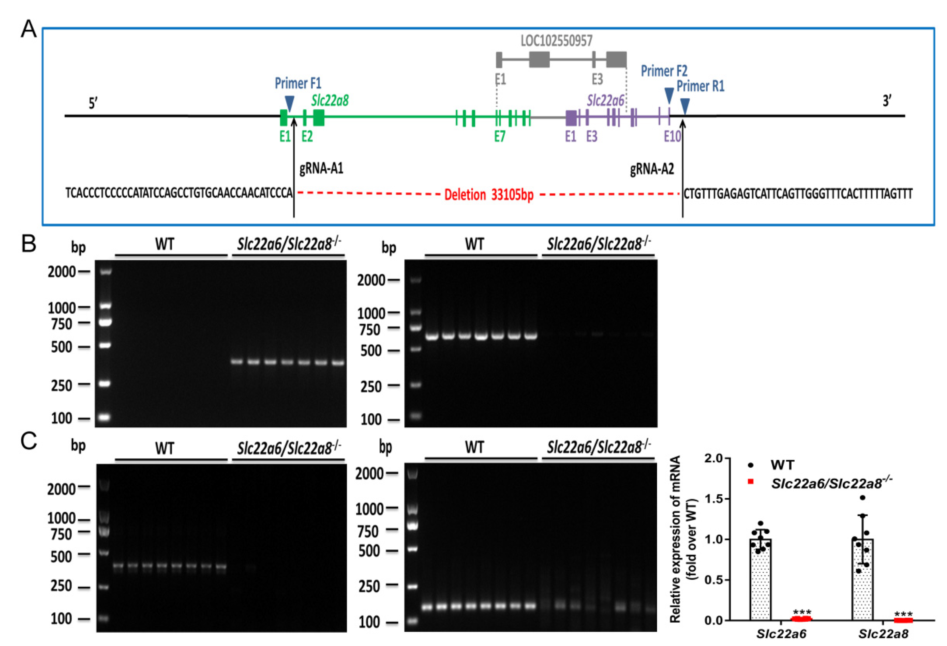 Pharmaceutics 14 02307 g001