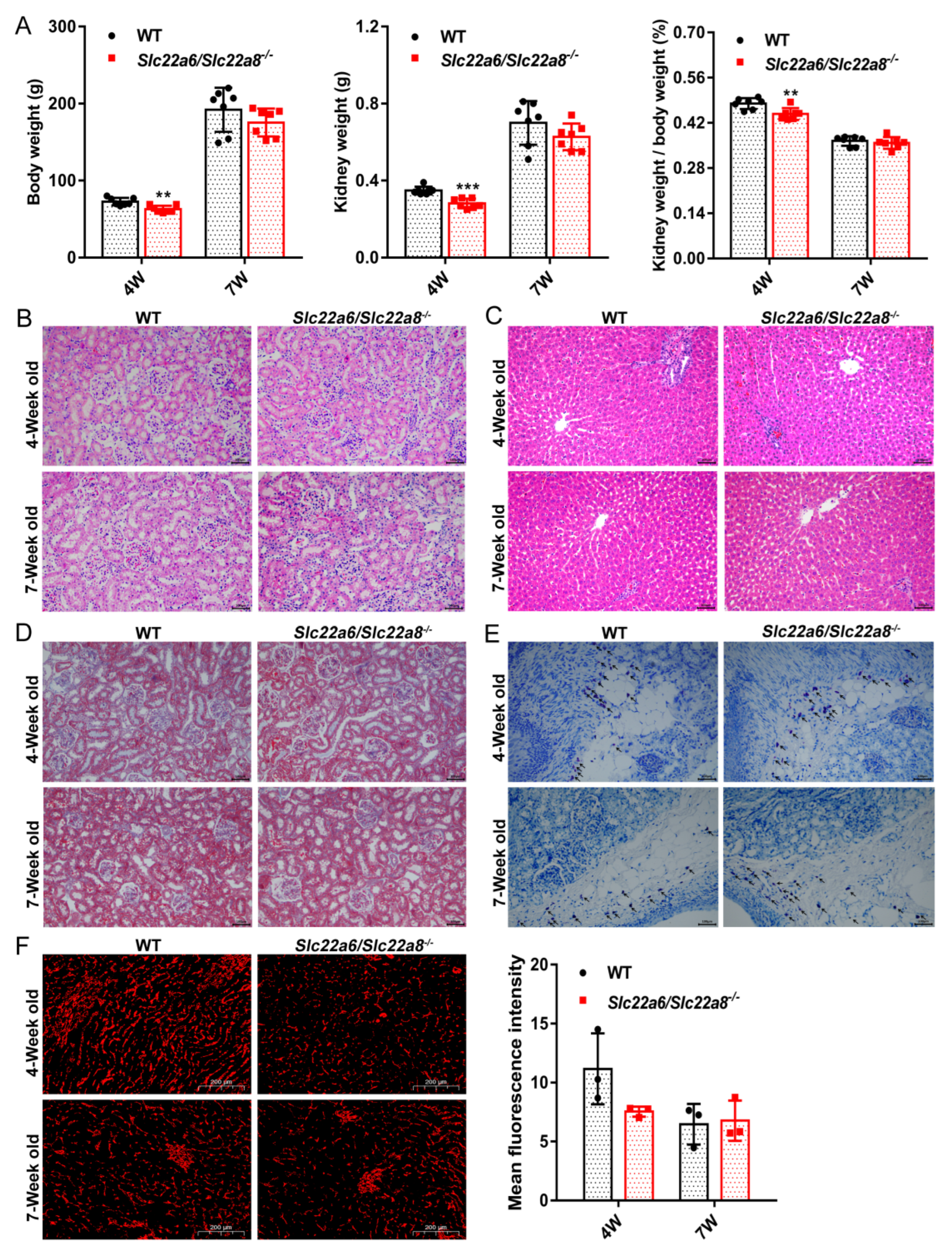 Pharmaceutics 14 02307 g003