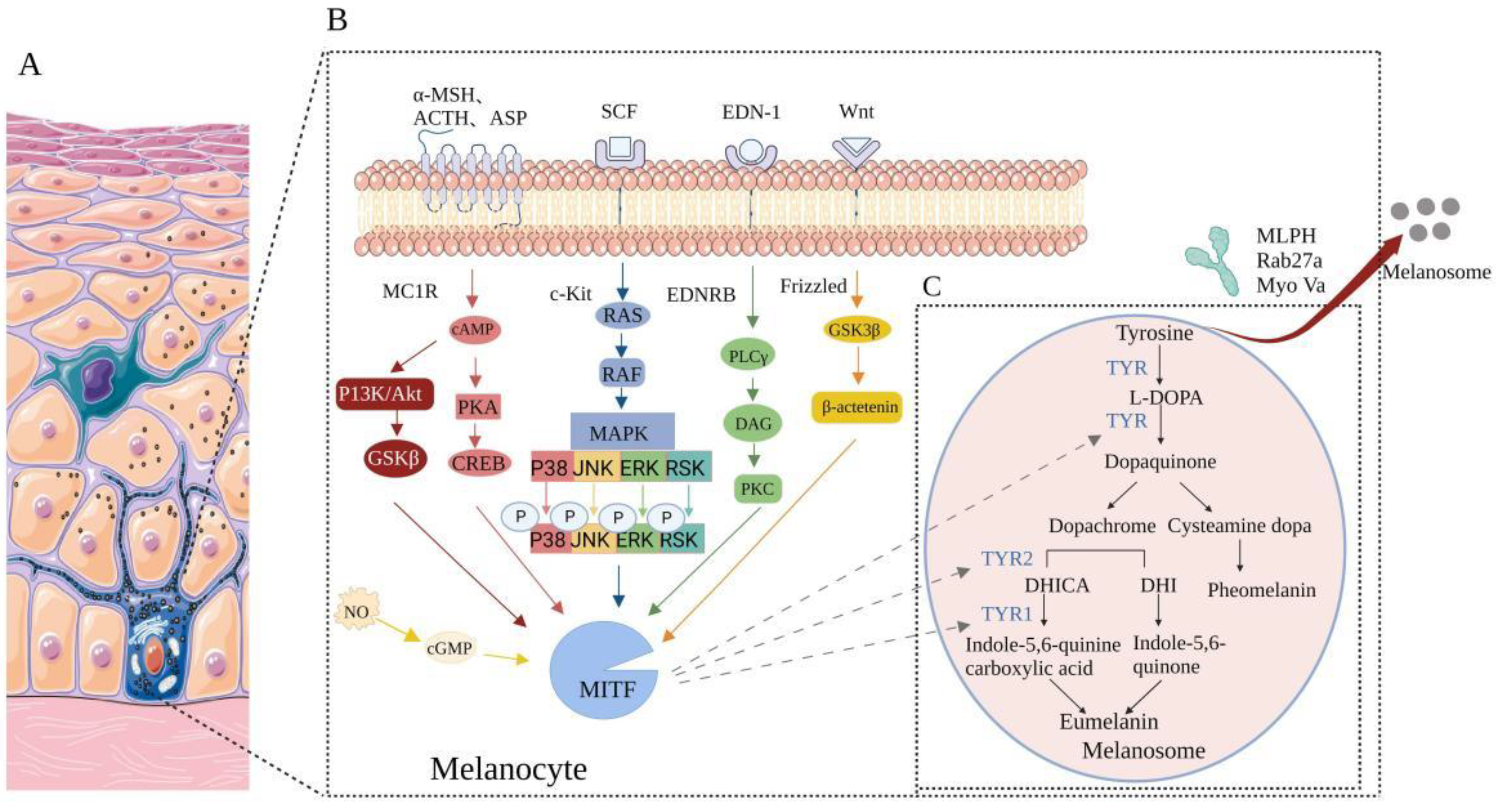 Pharmaceutics 14 02308 g002