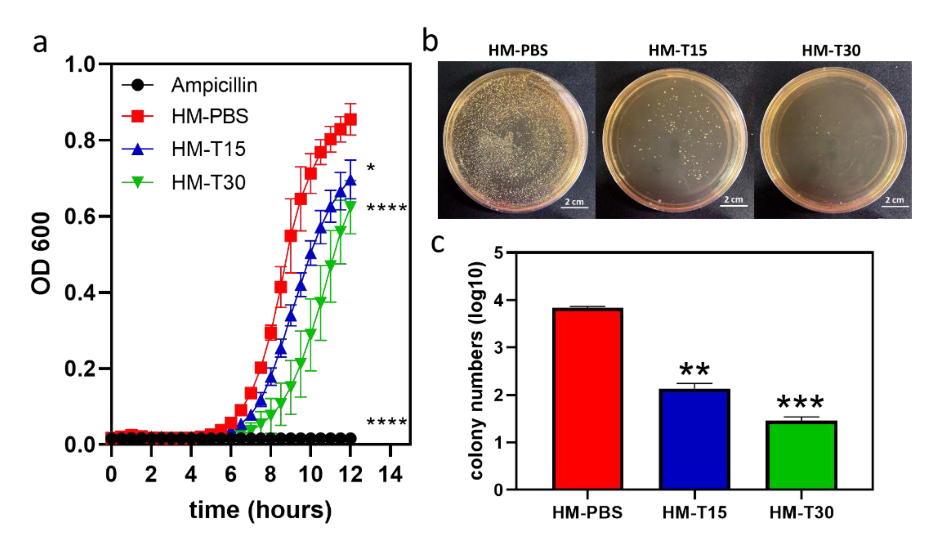 Pharmaceutics 14 02314 g004