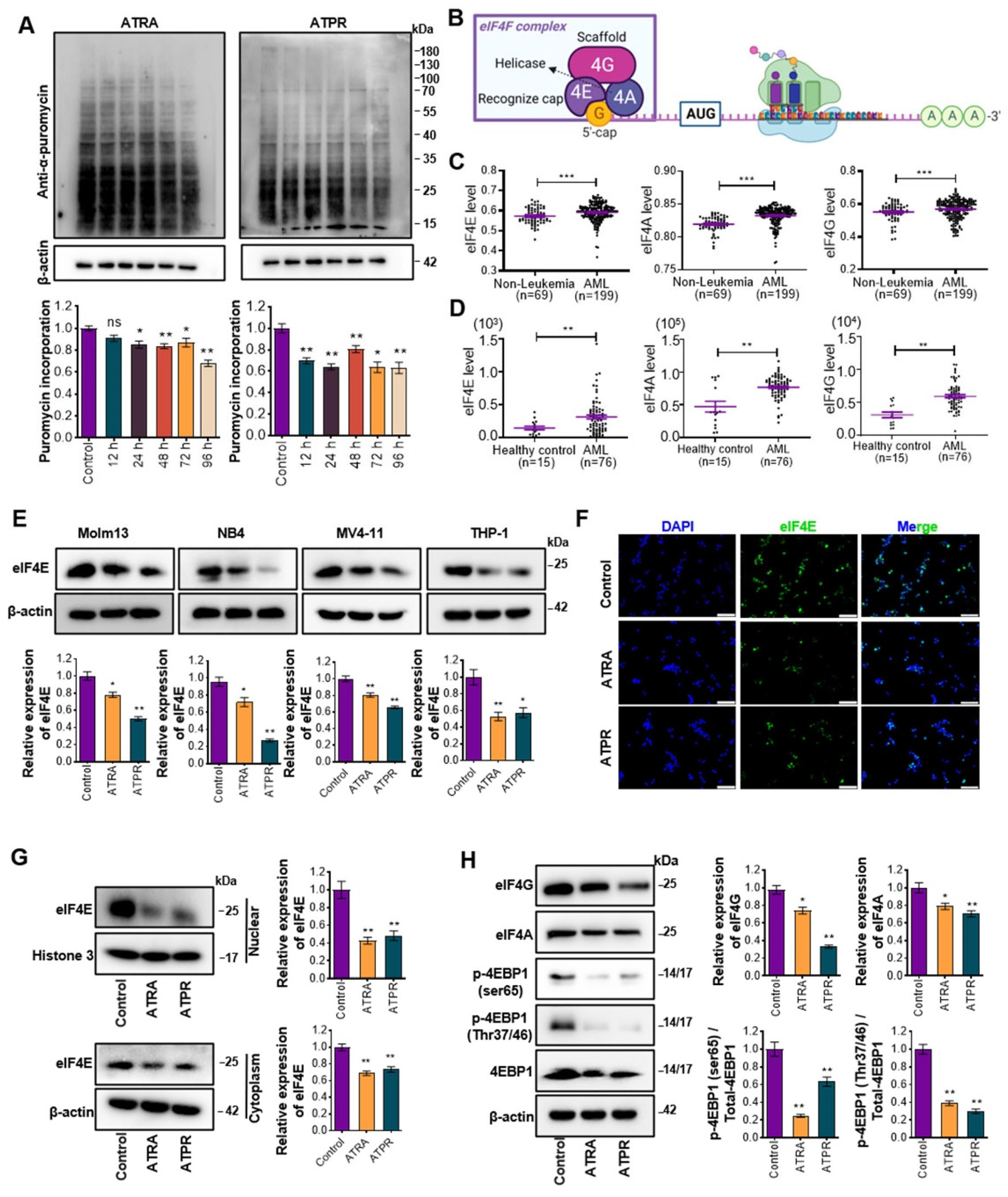 Pharmaceutics 14 02329 g001 Pharmaceutics 14 02329 g001