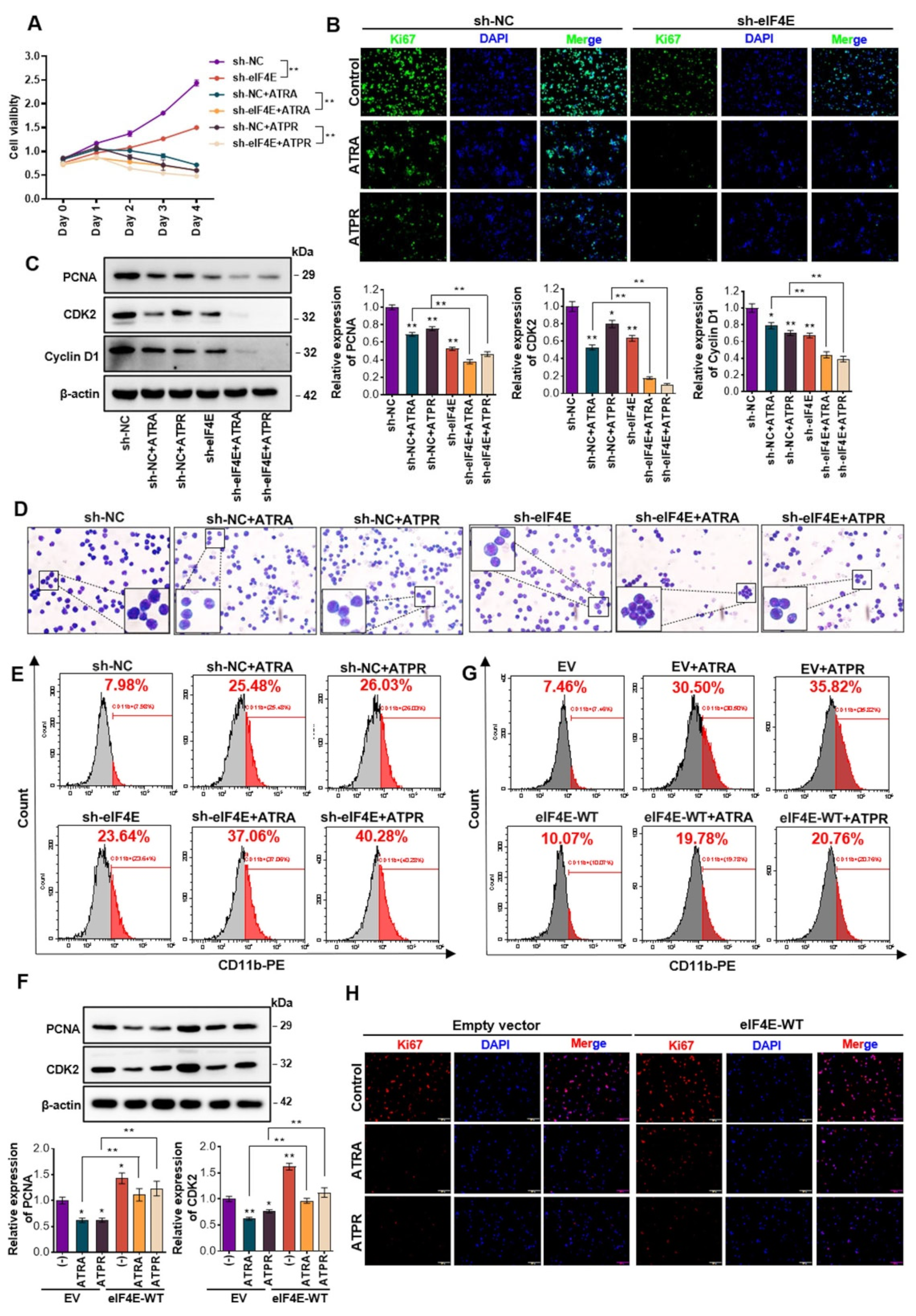 Pharmaceutics 14 02329 g002 Pharmaceutics 14 02329 g002