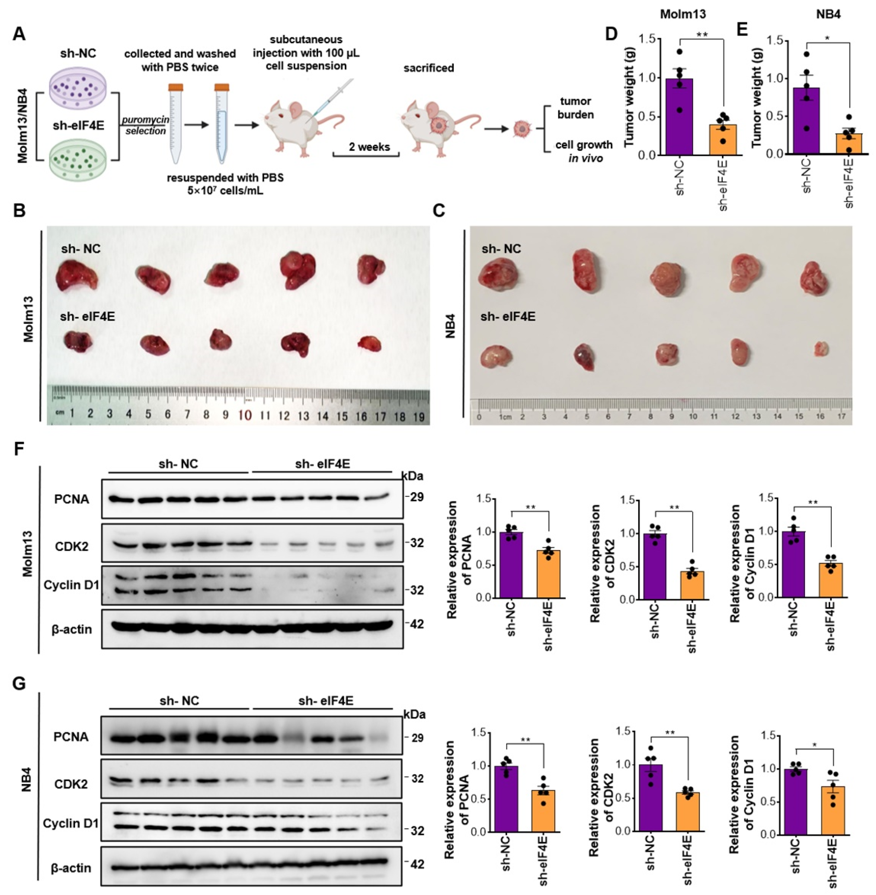 Pharmaceutics 14 02329 g003 Pharmaceutics 14 02329 g003