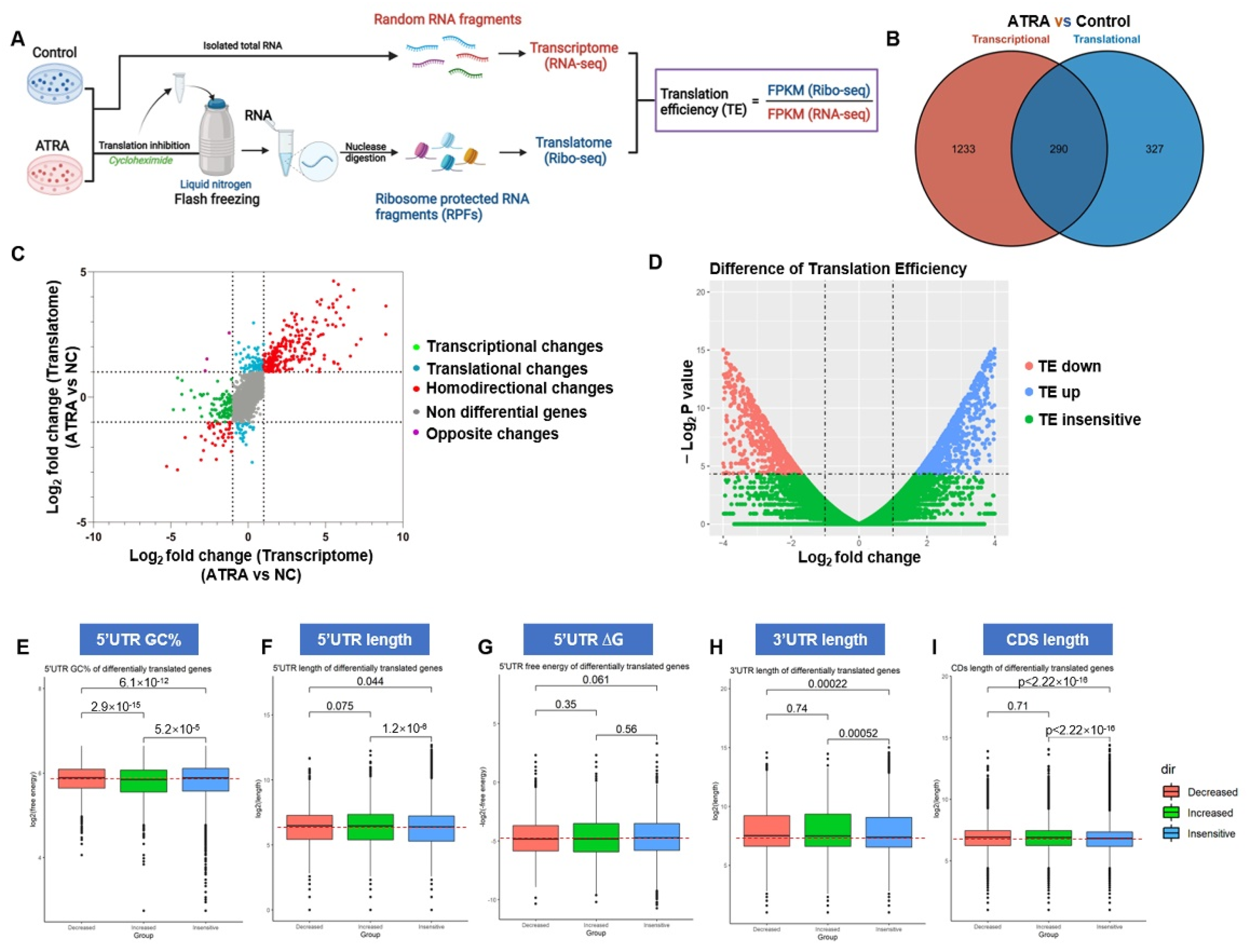 Pharmaceutics 14 02329 g004 Pharmaceutics 14 02329 g004