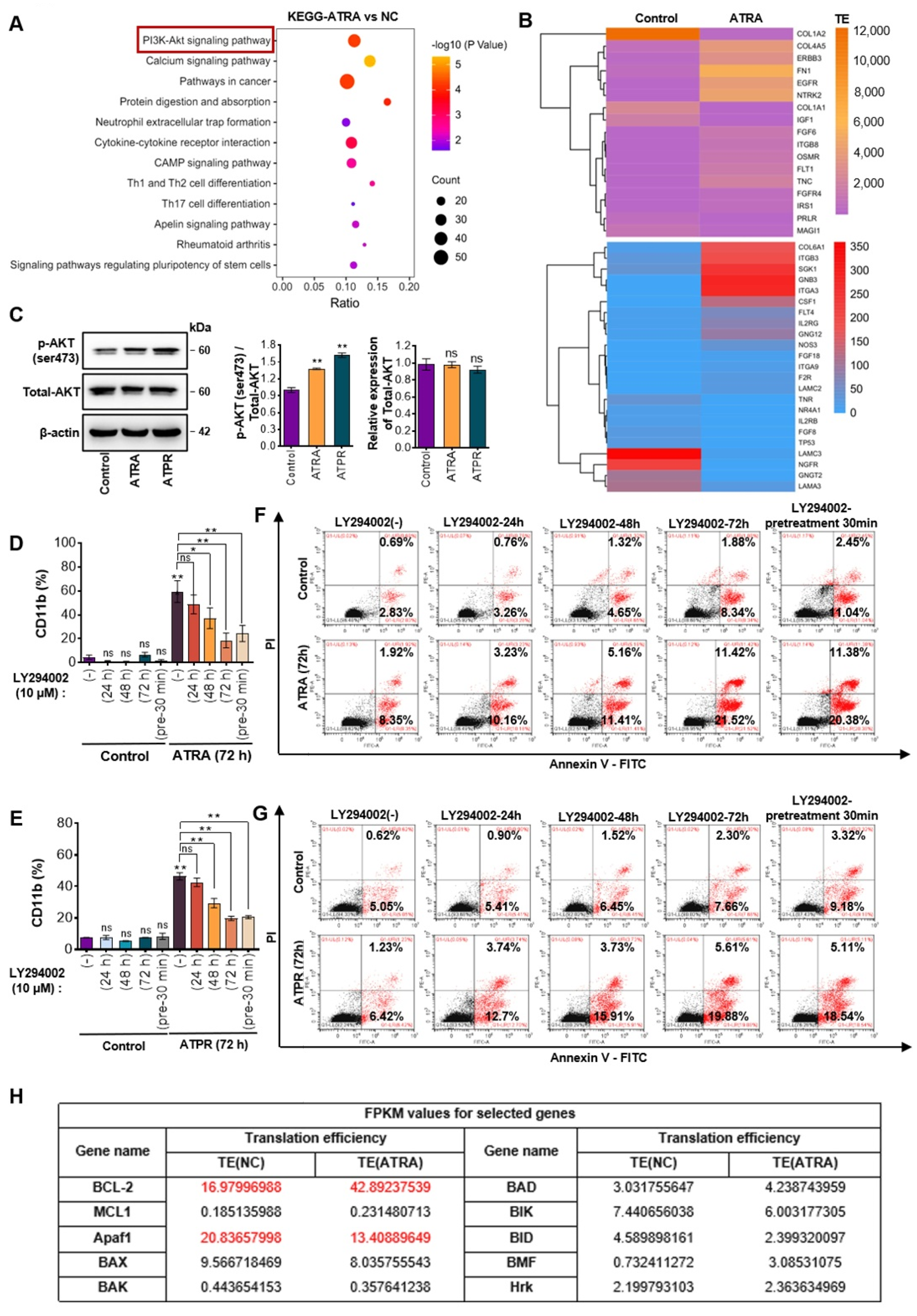 Pharmaceutics 14 02329 g005 Pharmaceutics 14 02329 g005