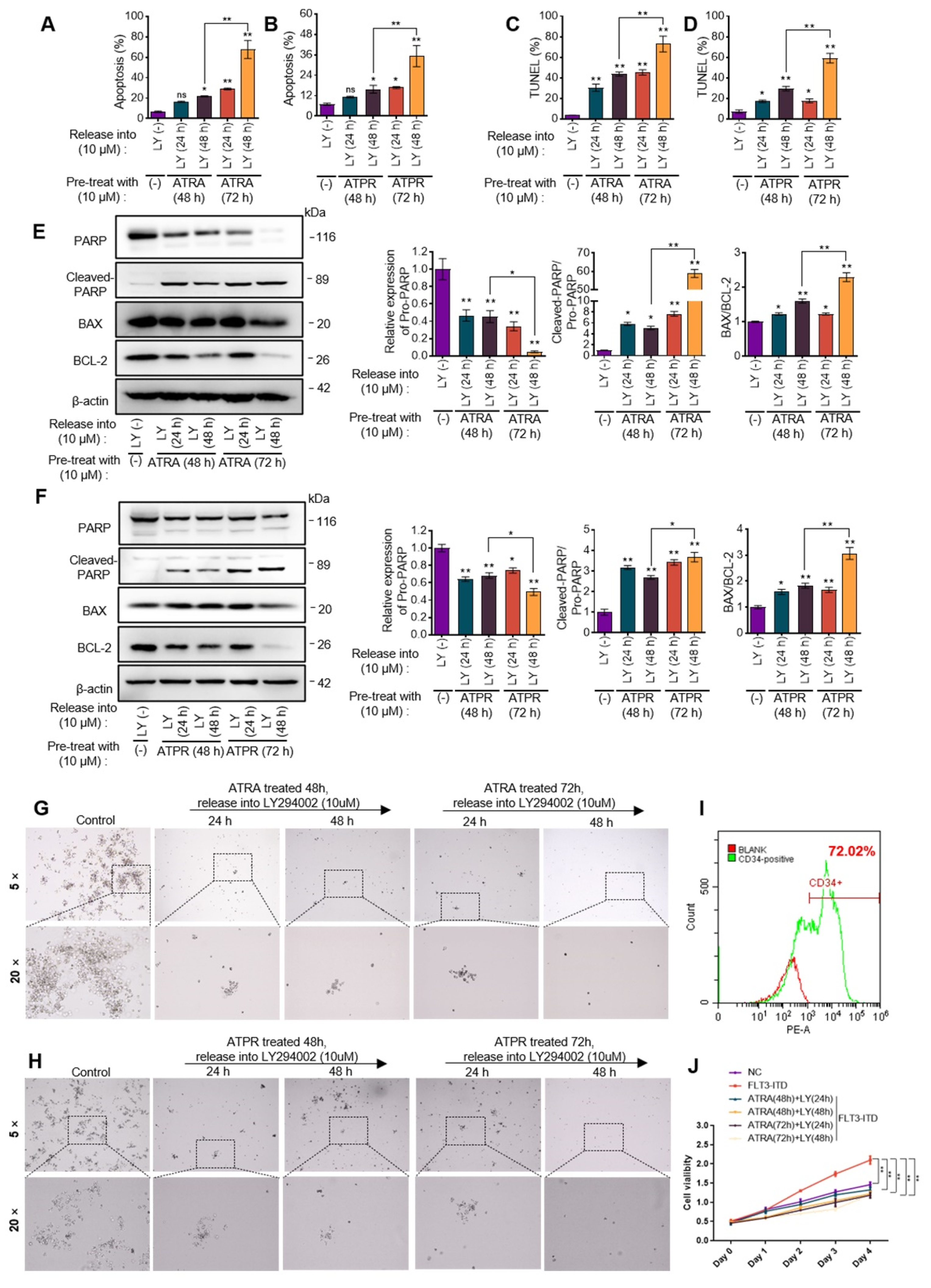 Pharmaceutics 14 02329 g006 Pharmaceutics 14 02329 g006