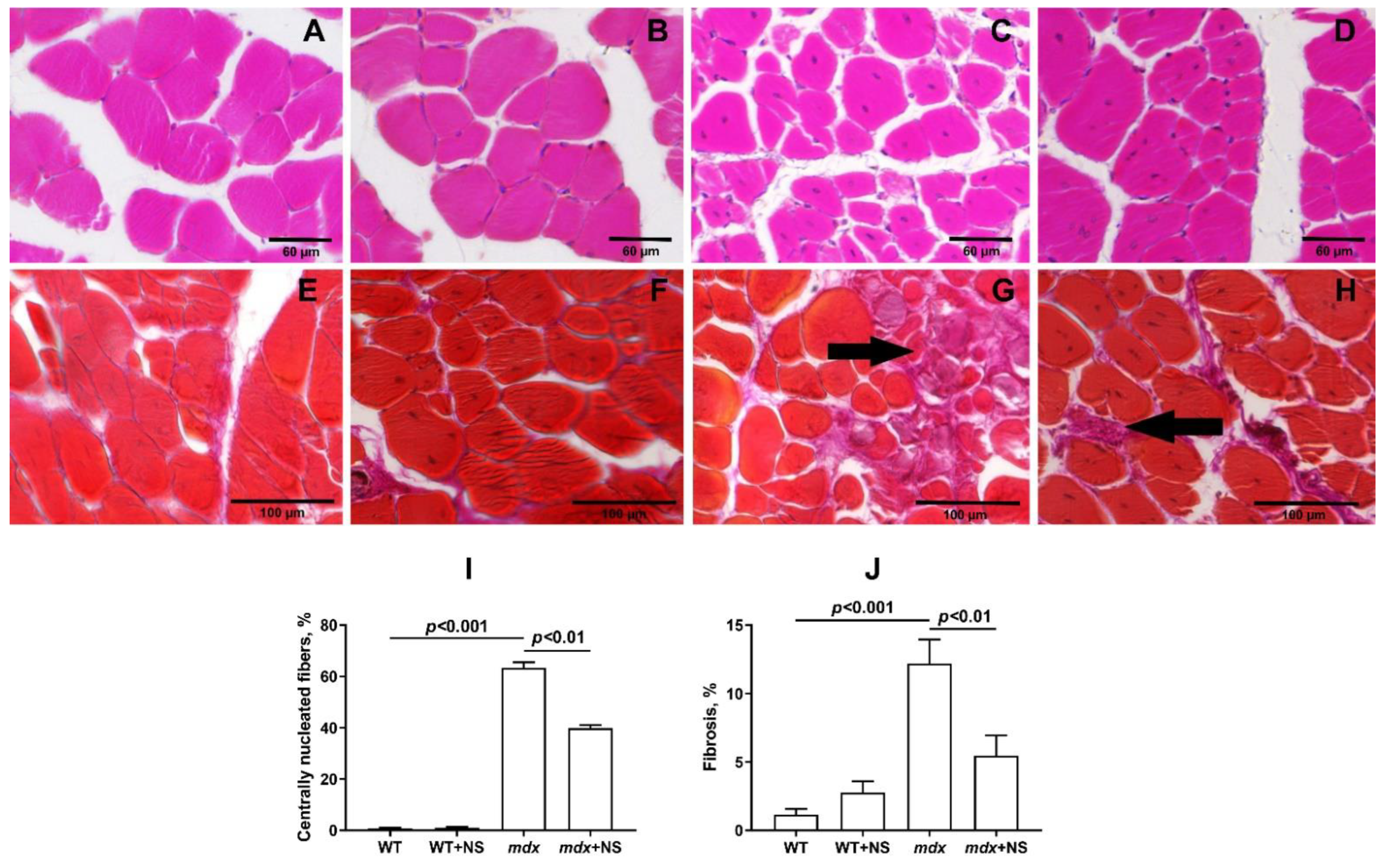 Pharmaceutics 14 02336 g008 Pharmaceutics 14 02336 g008