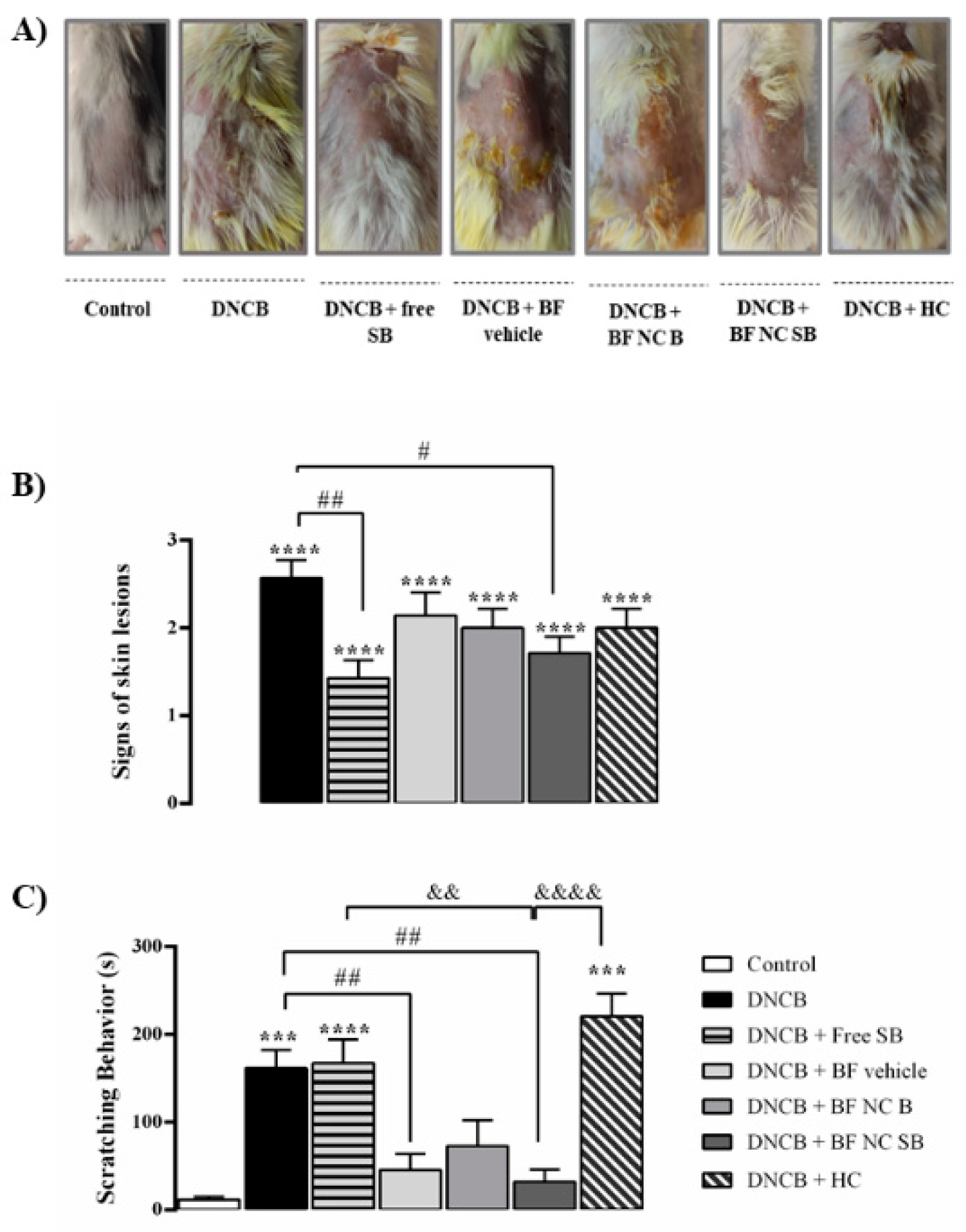 Pharmaceutics 14 02352 g005