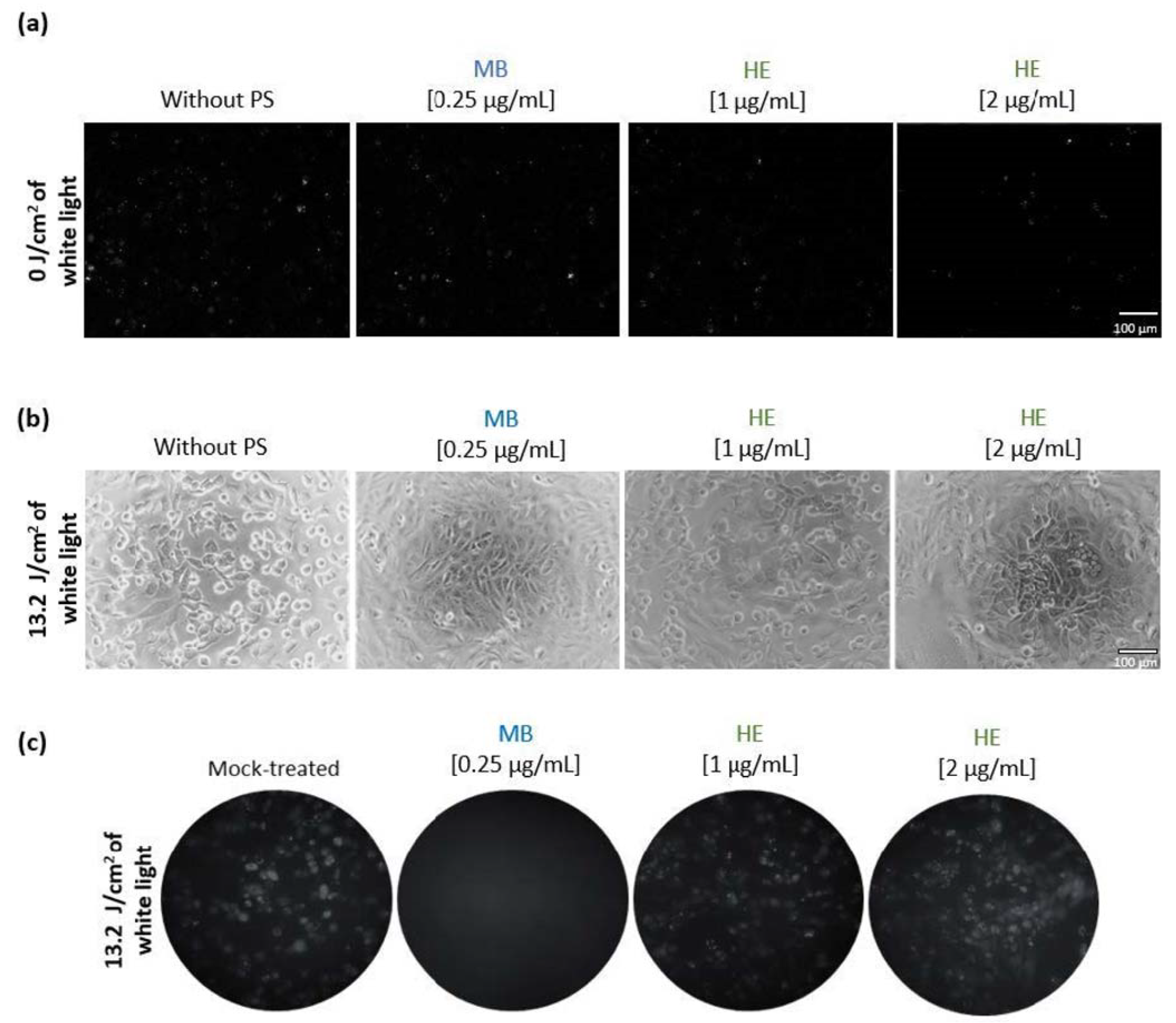 Pharmaceutics 14 02364 g002 Pharmaceutics 14 02364 g002