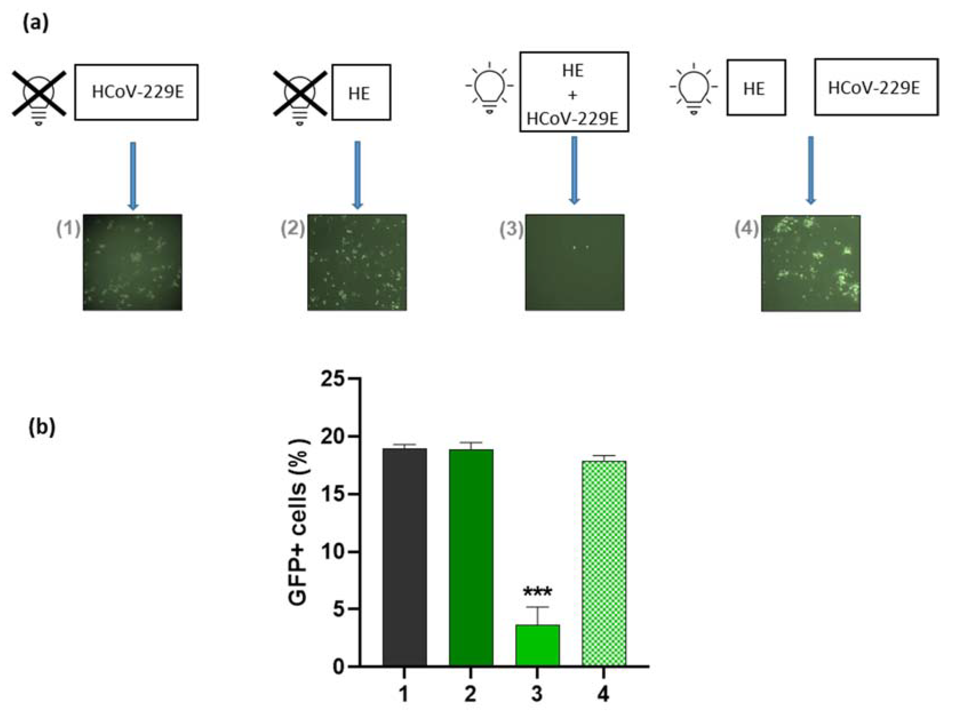 Pharmaceutics 14 02364 g005 Pharmaceutics 14 02364 g005